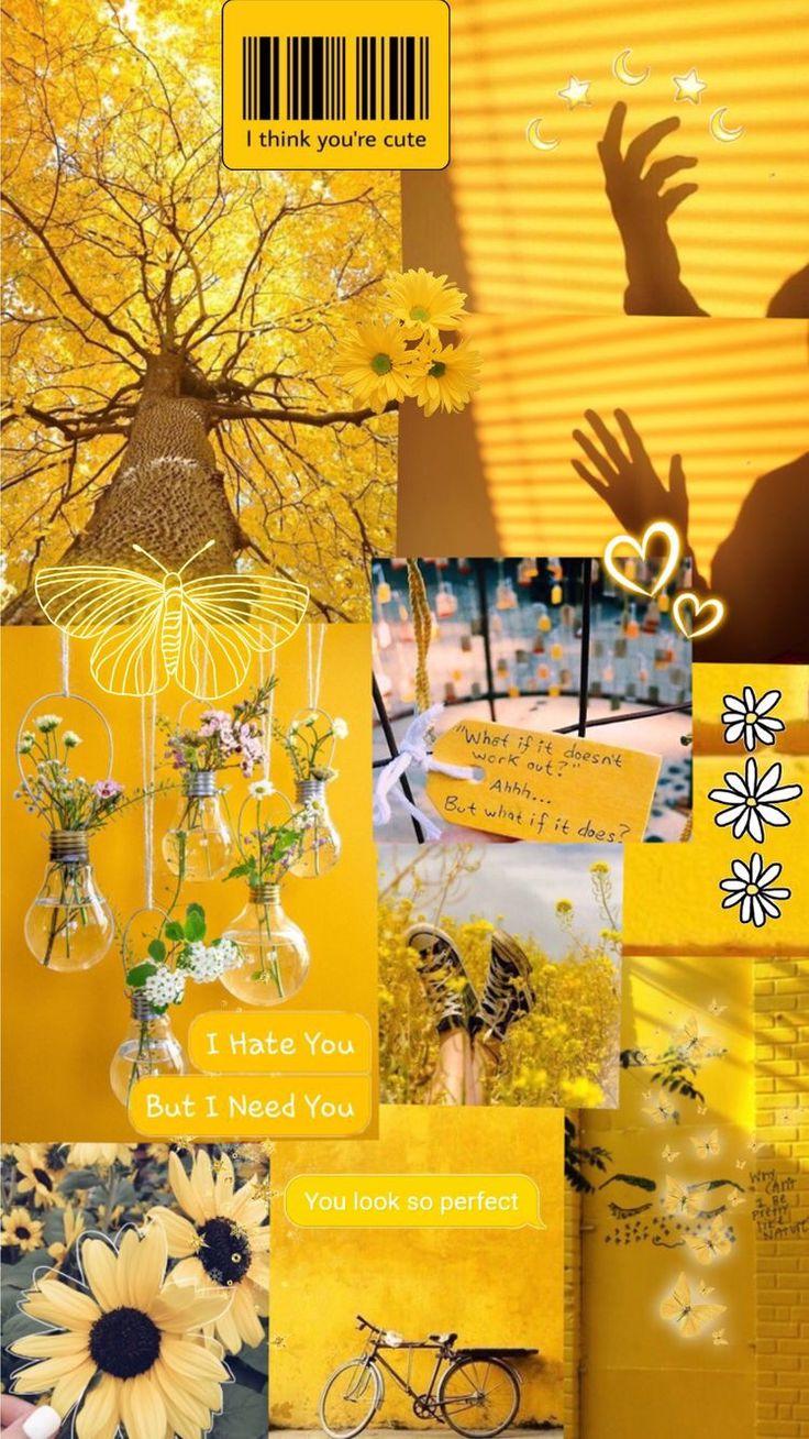 736x1308 yellow #aesthetic #yellowaesthetic #flower #sunflower #yellowflower #filter #theme #aesthetic. iPhone wallpaper yellow, Yellow aesthetic pastel, Yellow wallpaper