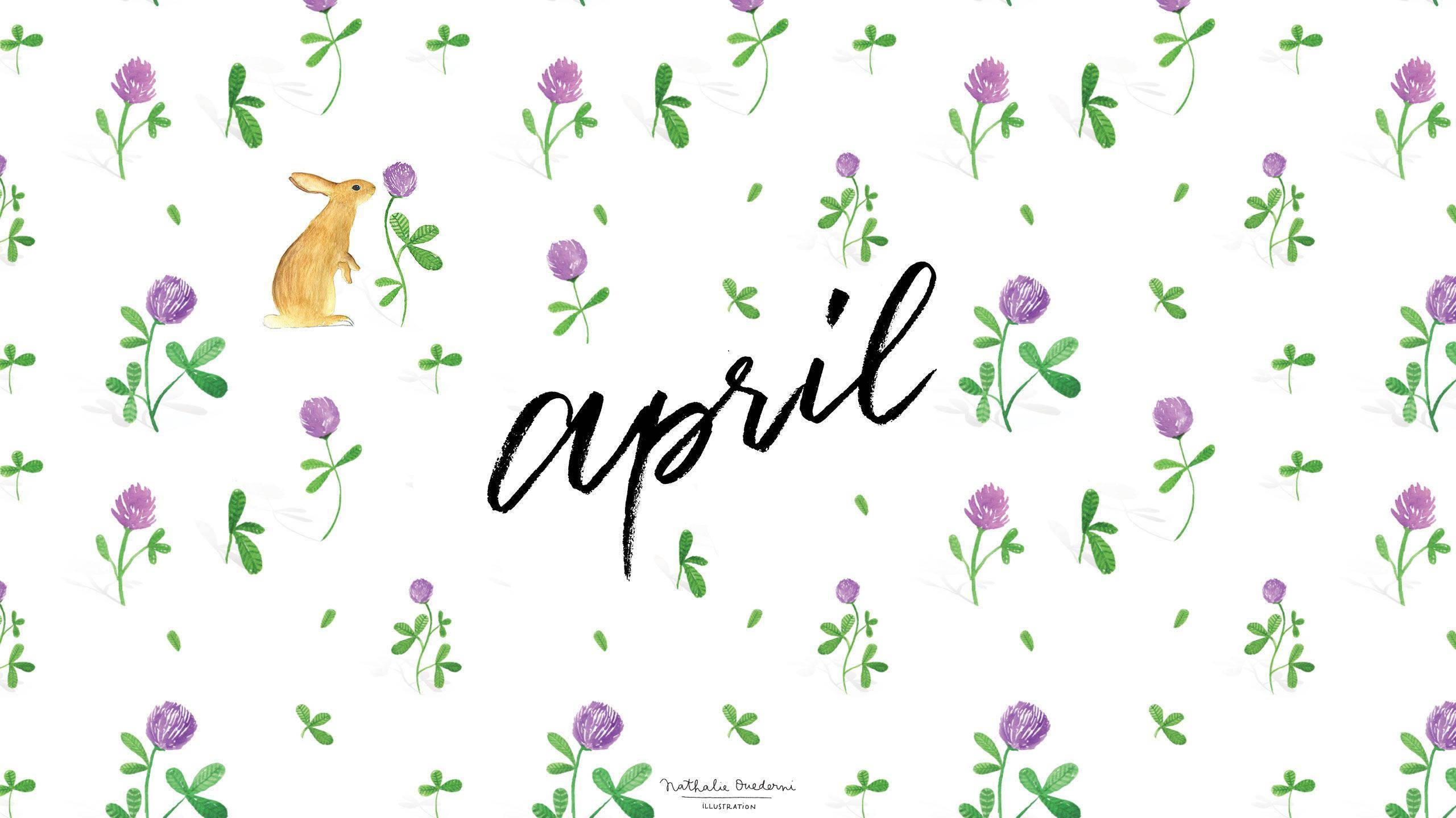 2560x1440 April Wallpaper & Background For FREE