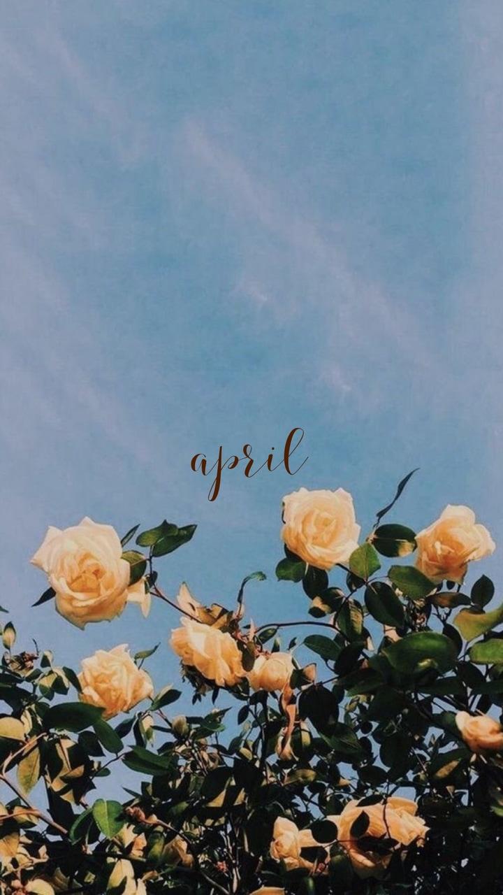 720x1280 Aesthetic April Wallpaper