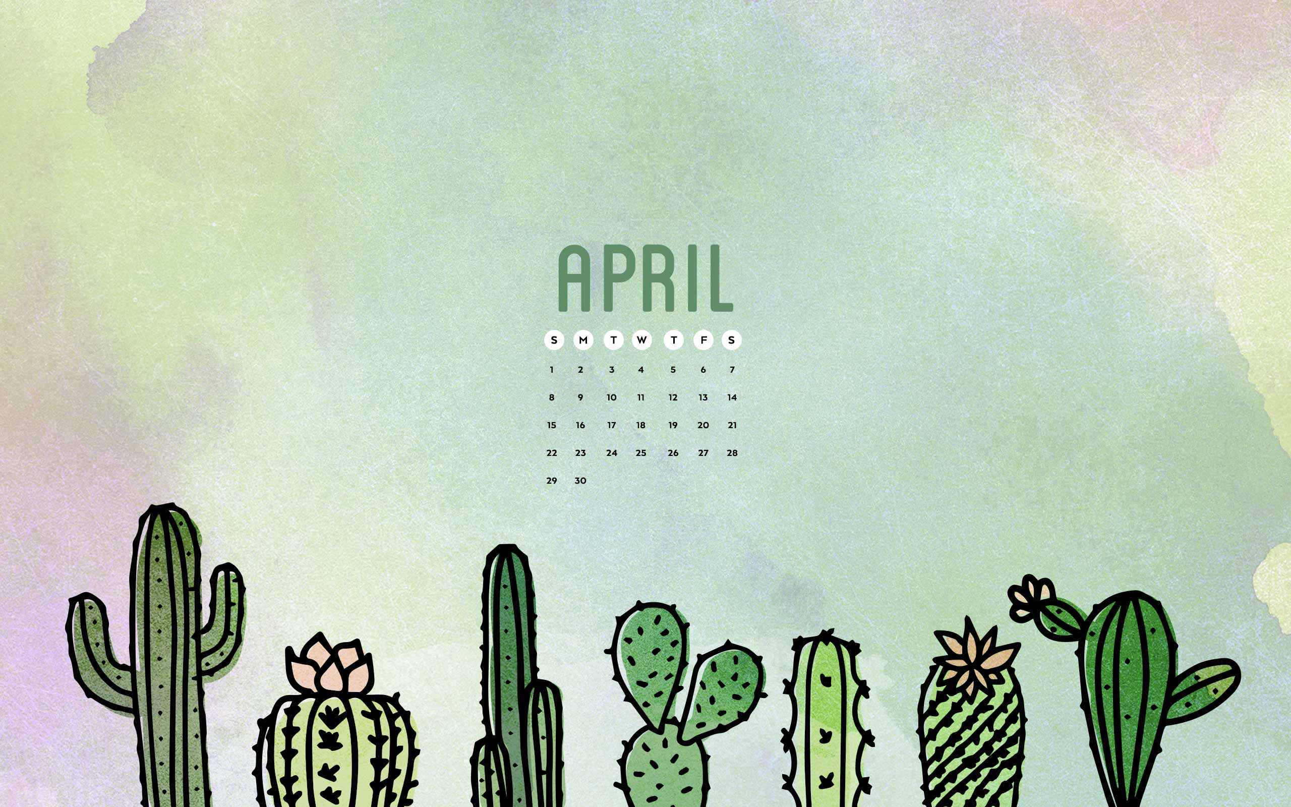 2560x1600 Cute Cactus Wallpaper