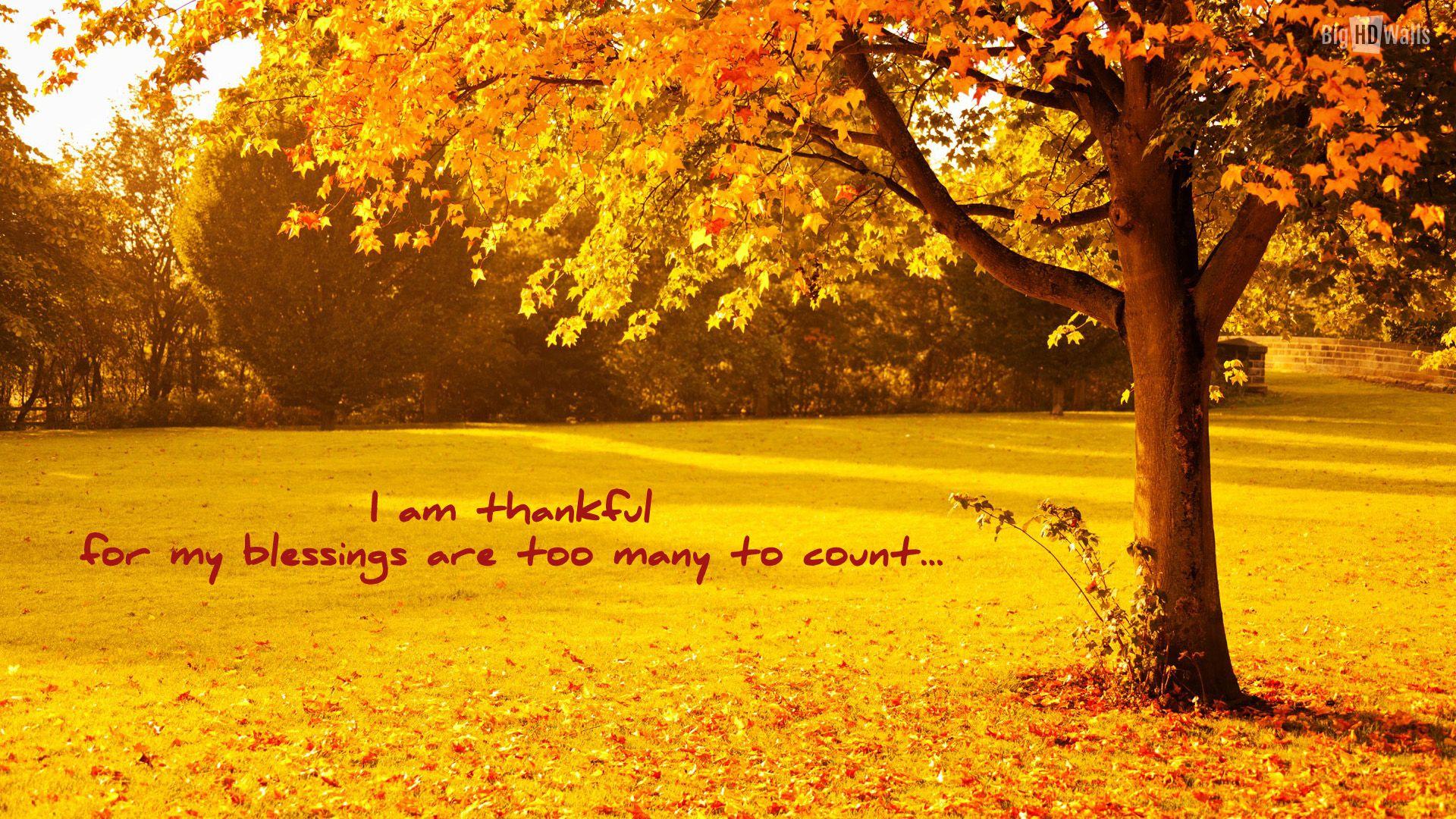Thanksgiving Blessings Wallpapers Top Free Thanksgiving Blessings
