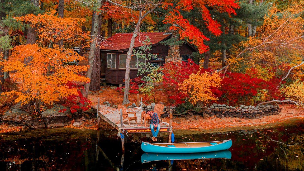 1280x720 Cozy Cabin Autumn Escape with my Dog