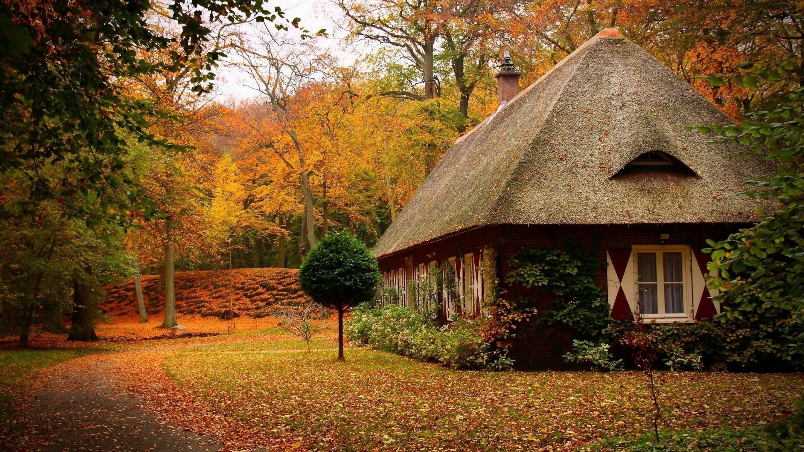 2688x1512 cabins, forest, autumn 4K Wallpaper, HD Nature 4K Wallpaper, Image, Photo and Background