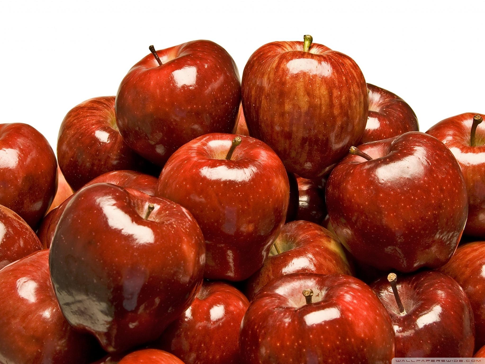 2048x1536 Shiny Red Apples Ultra HD Desktop Background Wallpaper for 4K UHD TV : Multi Display, Dual Monitor