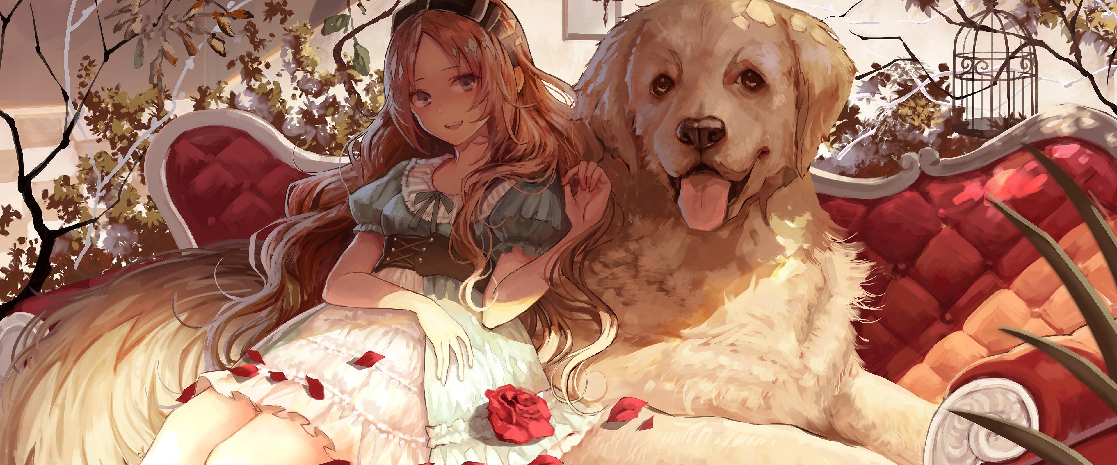 Spectacular Get A Female Dog Fixed Scene for Mobile Spectacular Get A Female Dog Fixed Scene for Mobile