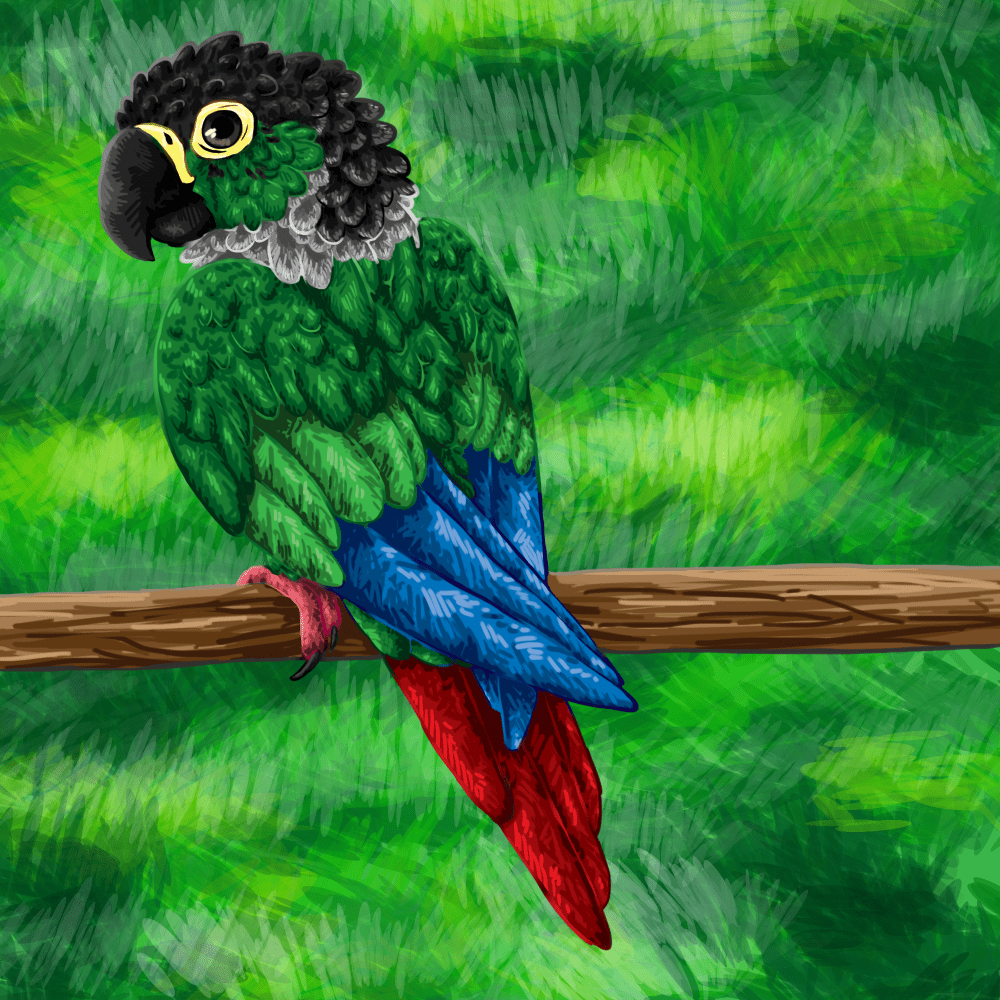 1000x1000 Fanart : CavySpirit Cheek Conure