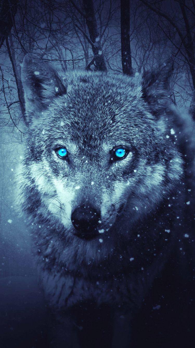 750x1334 Fantasy Wolf 5k iPhone iPhone 6S, iPhone 7 HD 4k