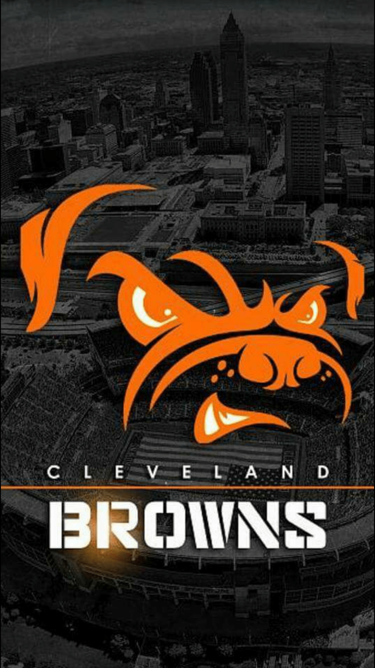 1242x2208 Cleveland Browns wallpaper for mobile phone, tablet, desktop computer and other devices HD and 4K wallpap. Cleveland browns wallpaper, Cleveland browns, Cleveland
