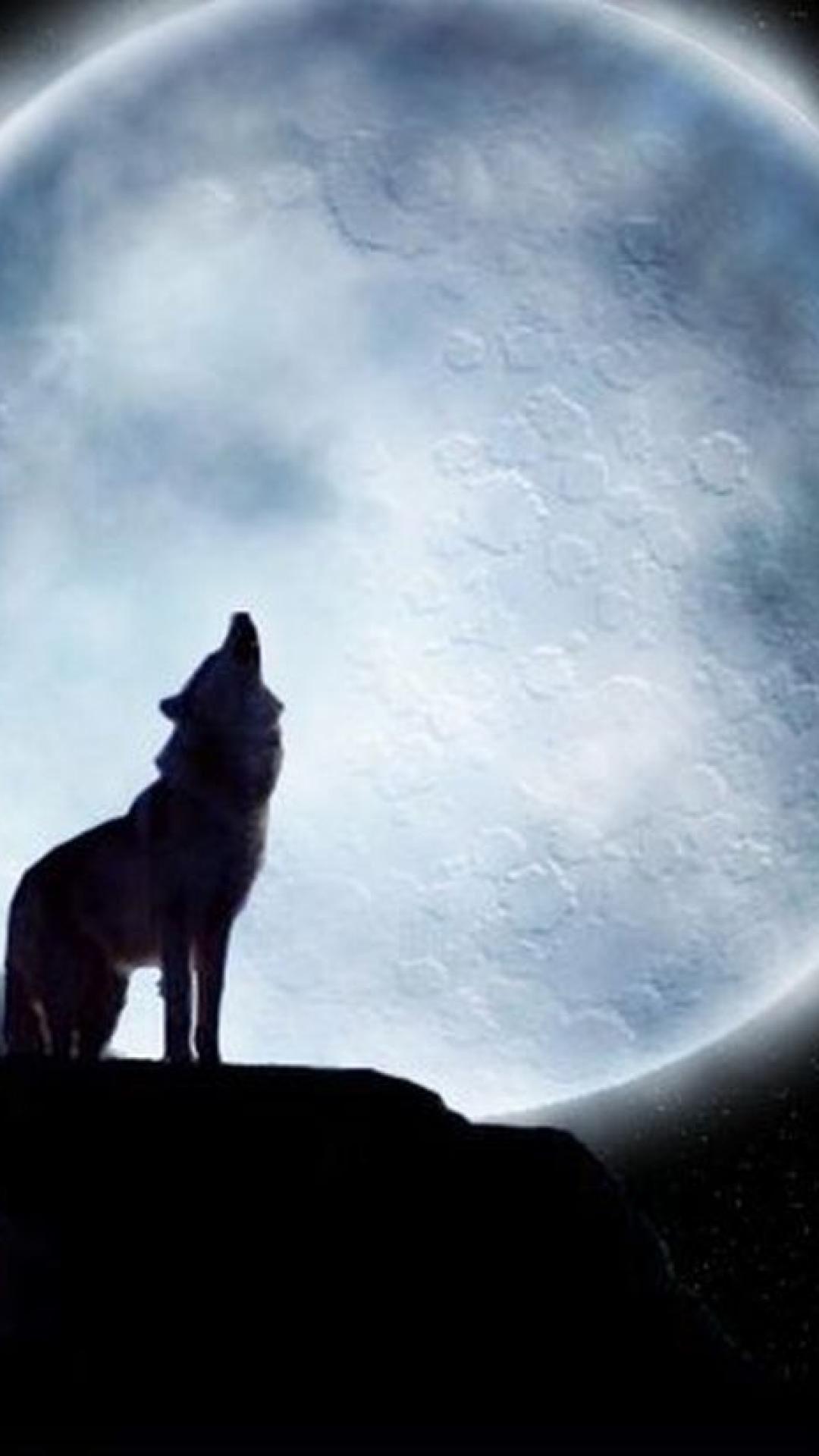 1080x1920 Wallpaper Wolf