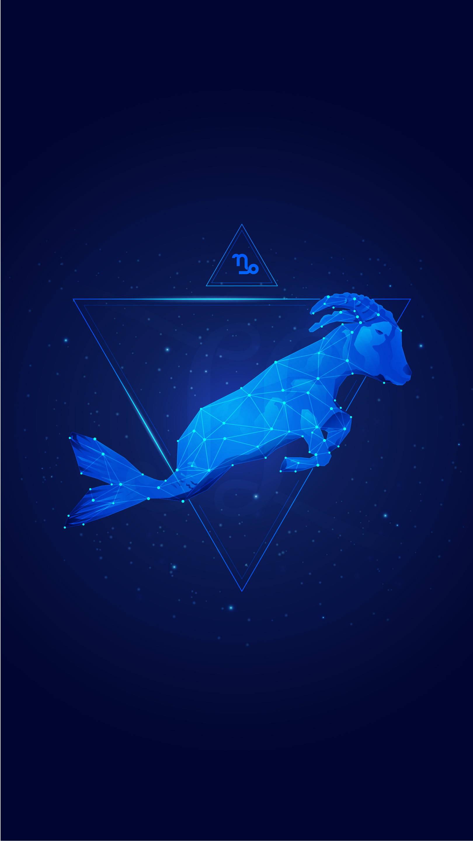 1620x2880 Download Capricorn Sea Goat Wallpaper