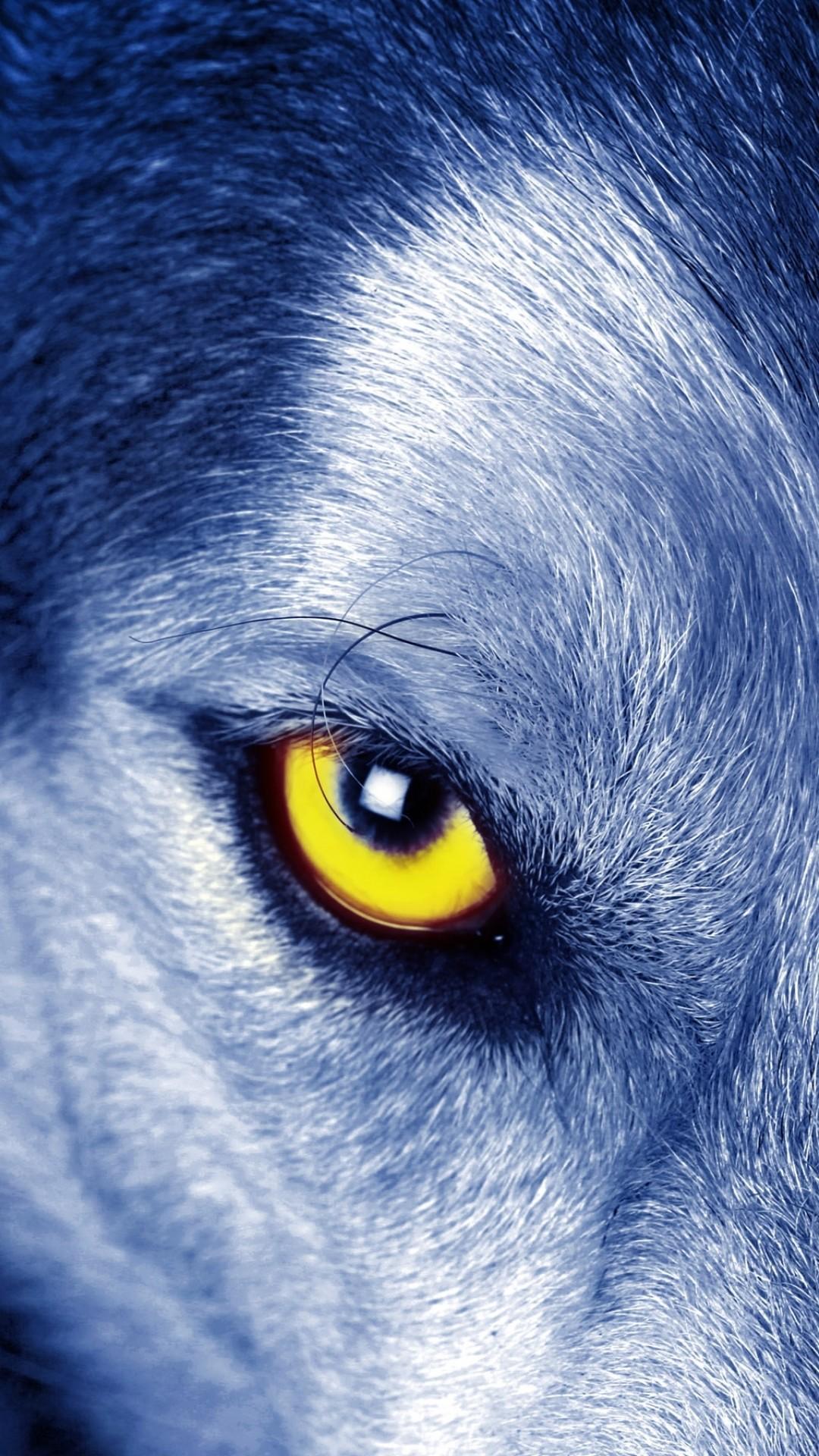 1080x1920 iPhone Wolf Wallpaper , free download, (69)-