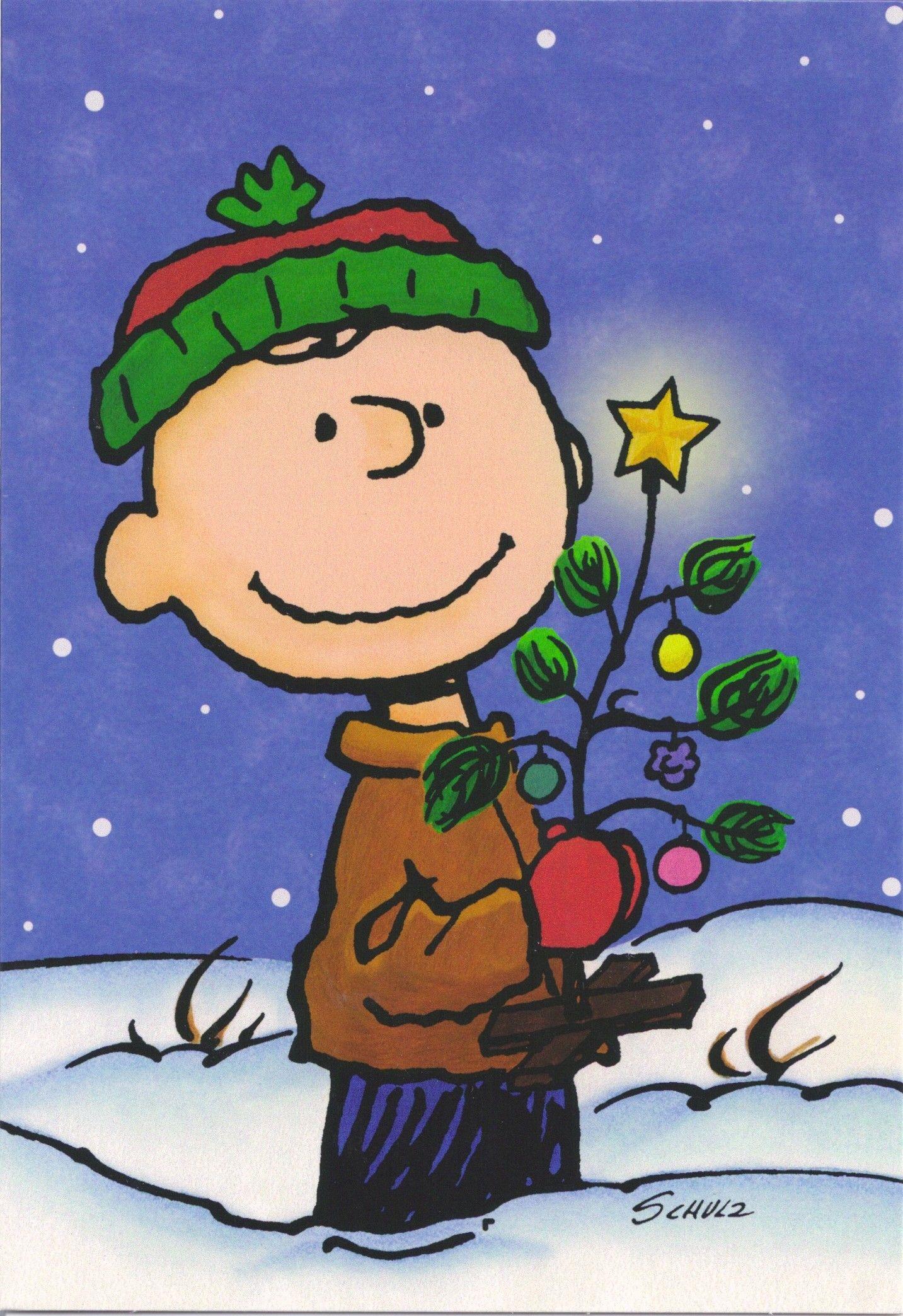 Charlie Brown Christmas Wallpapers Top Free Charlie Brown Christmas Backgrounds Wallpaperaccess 8030