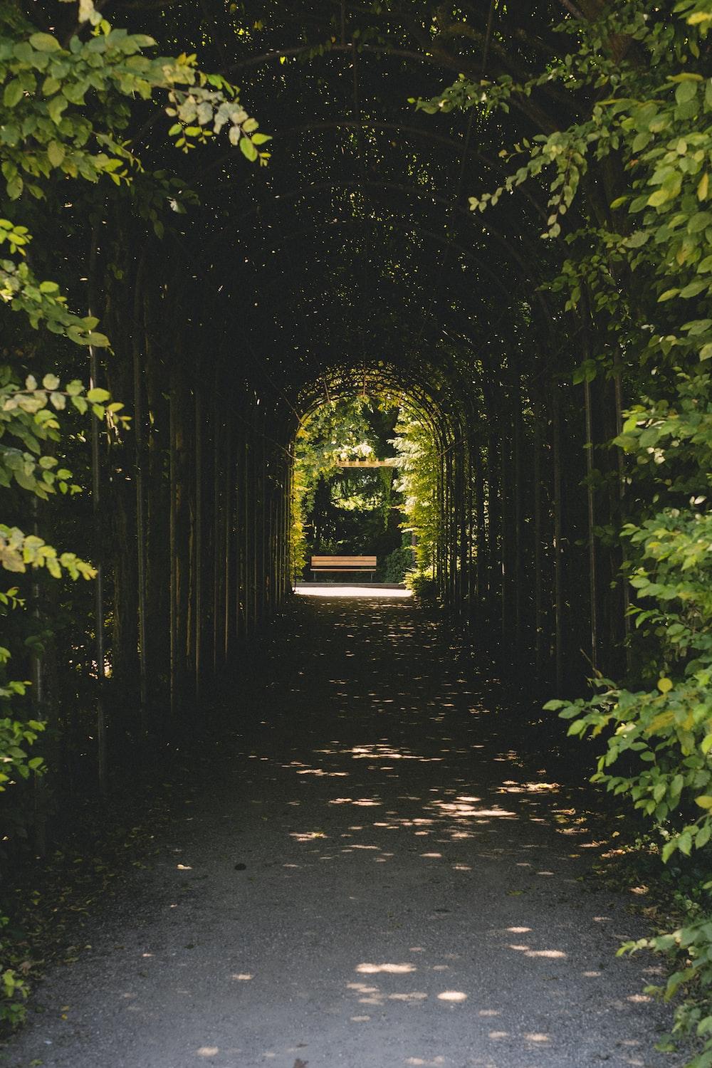 1000x1500 Dark Garden Picture. Download Free Image