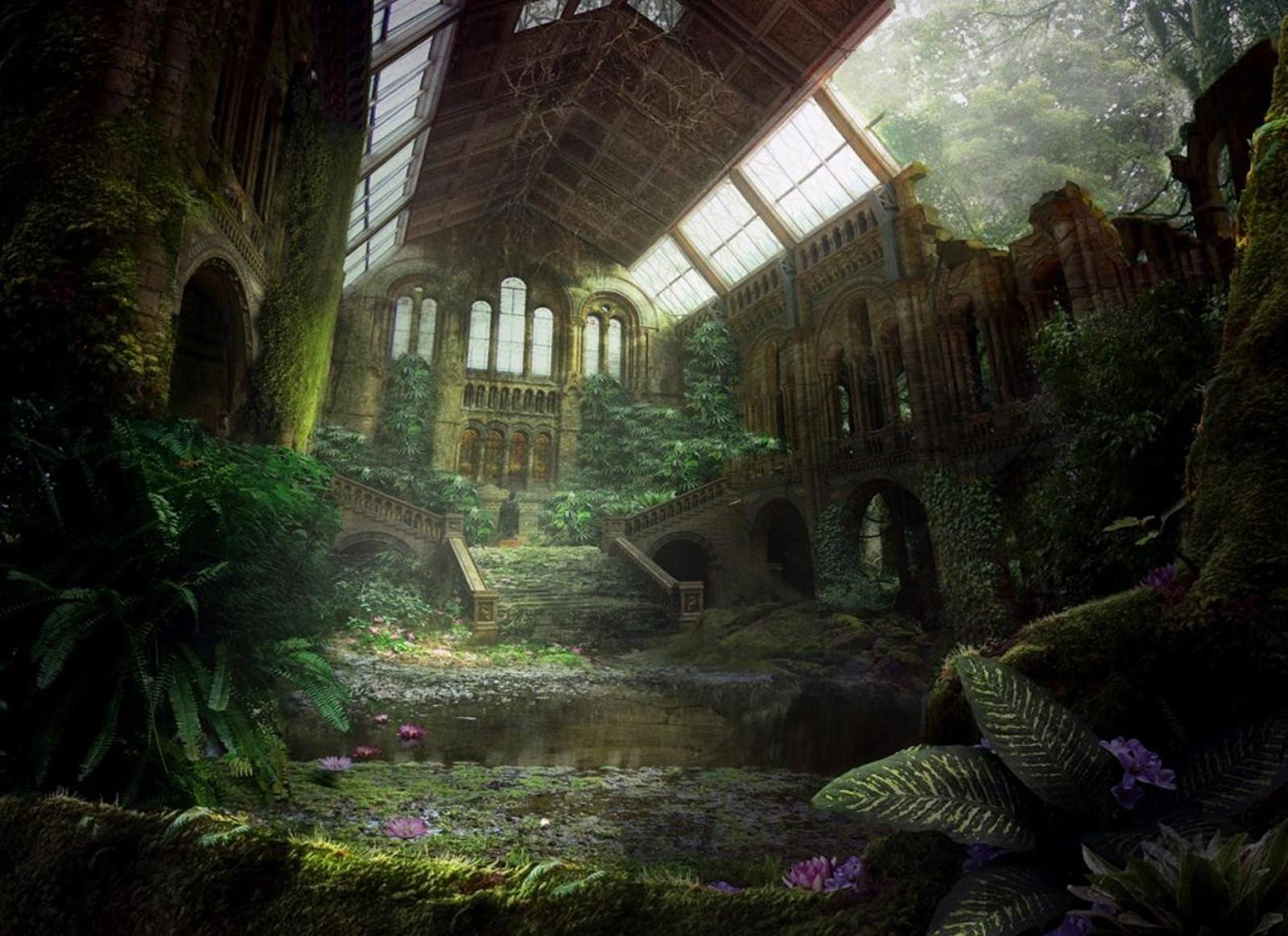 1600x1163 Dark Garden Wallpaper