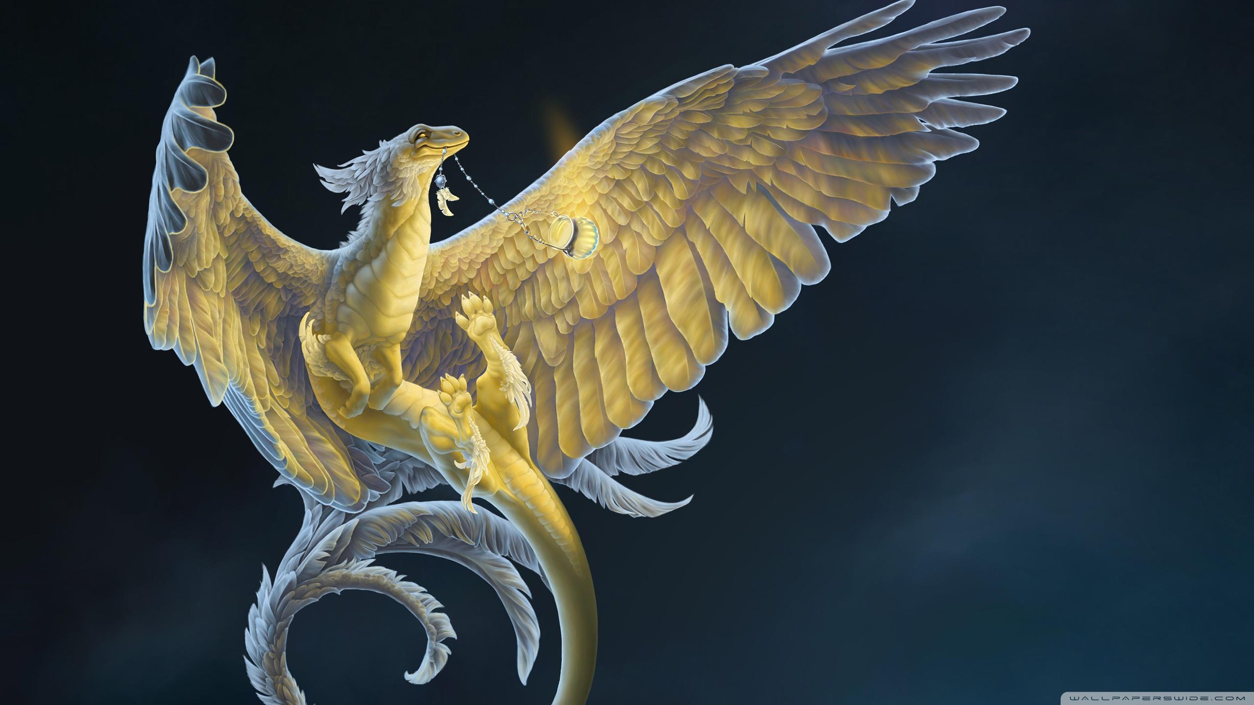 2560x1440 Night Dragon ❤ 4K HD Desktop Wallpaper for 4K Ultra HD TV • Wide
