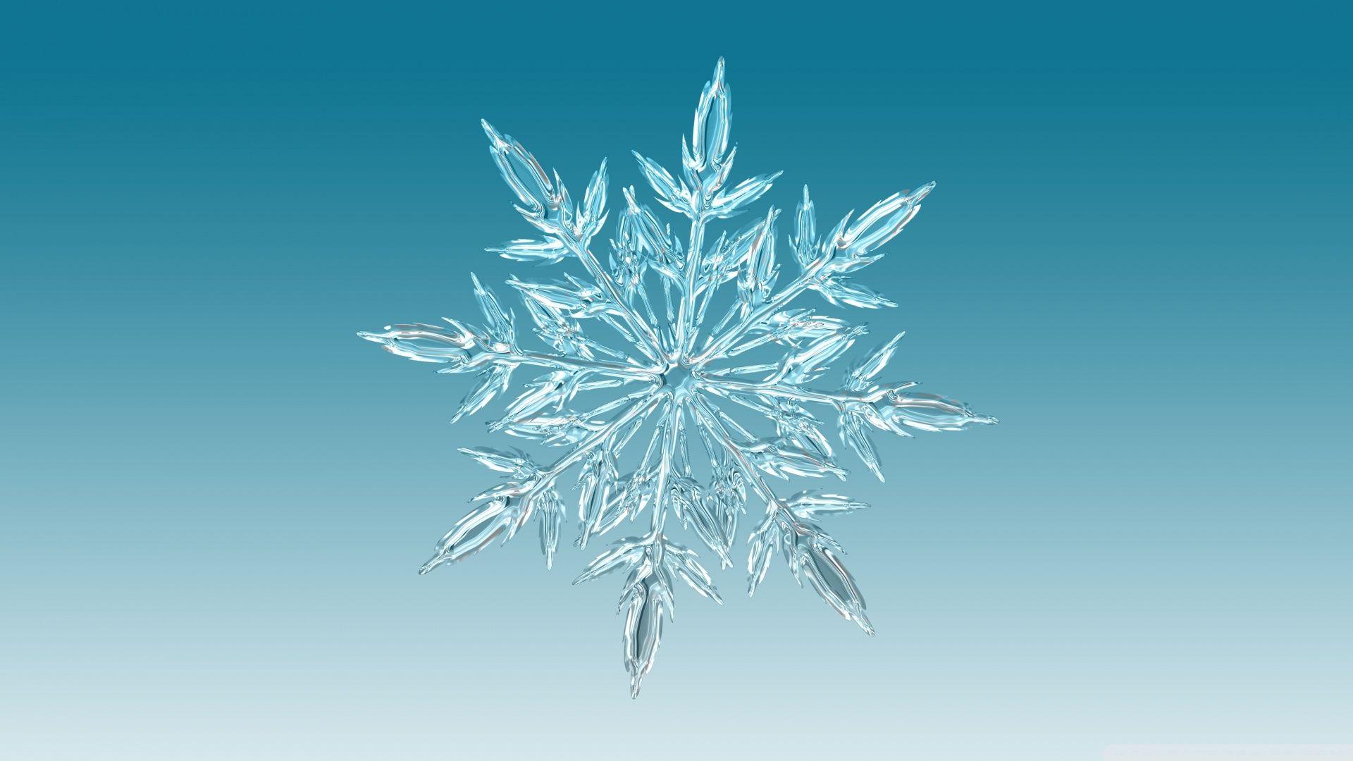 1920x1080 Ice Crystals Wallpaper