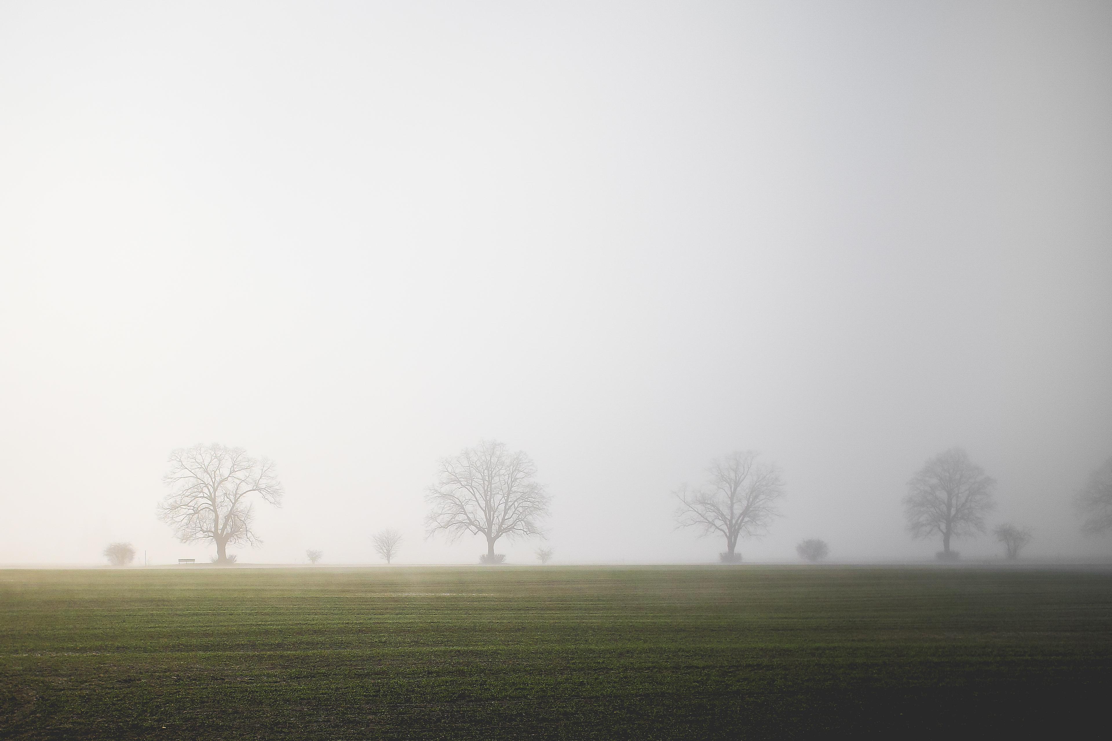 Foggy Field Wallpapers - Top Free Foggy Field Backgrounds - WallpaperAccess