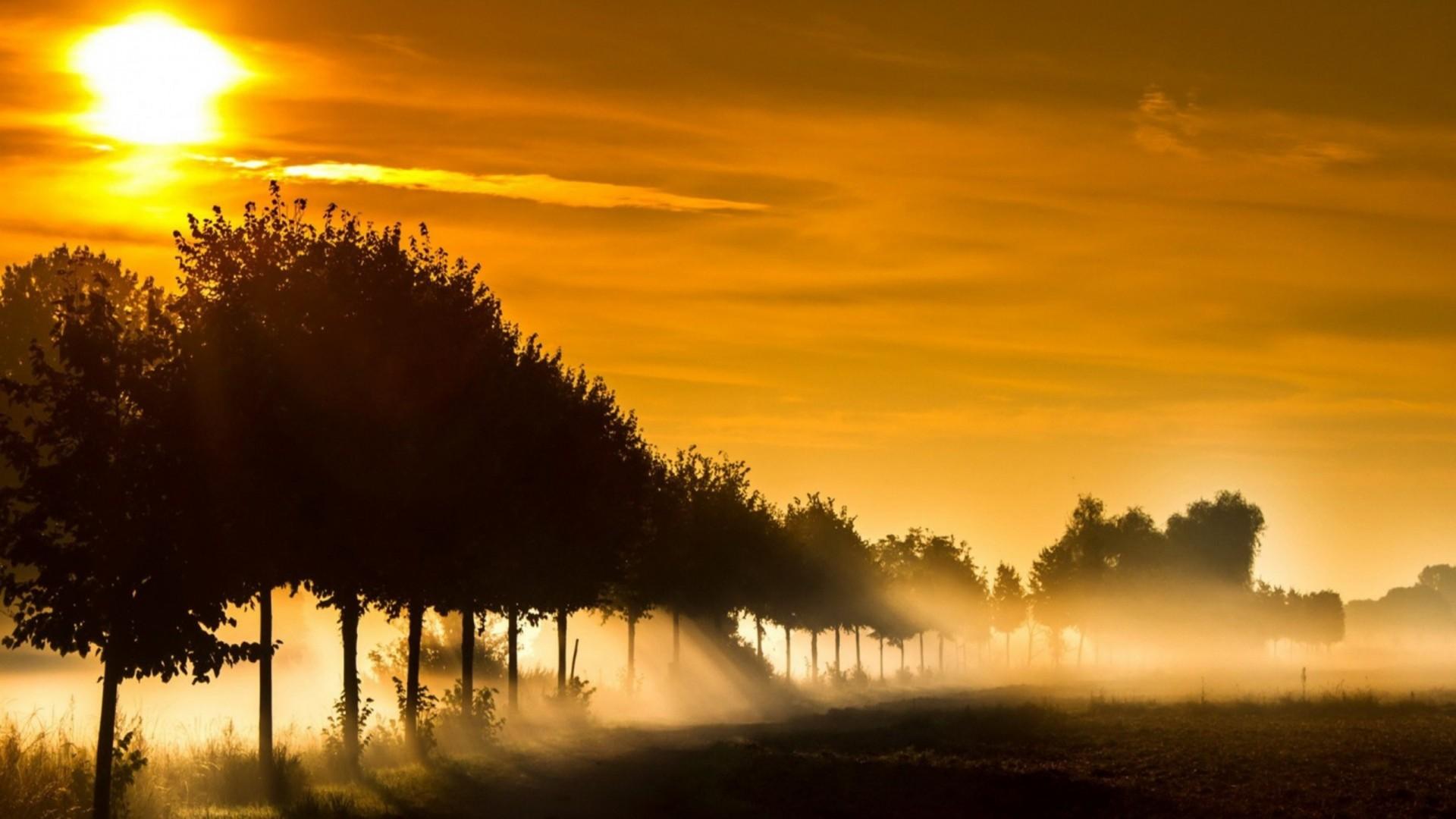 Foggy Field Wallpapers - Top Free Foggy Field Backgrounds - WallpaperAccess