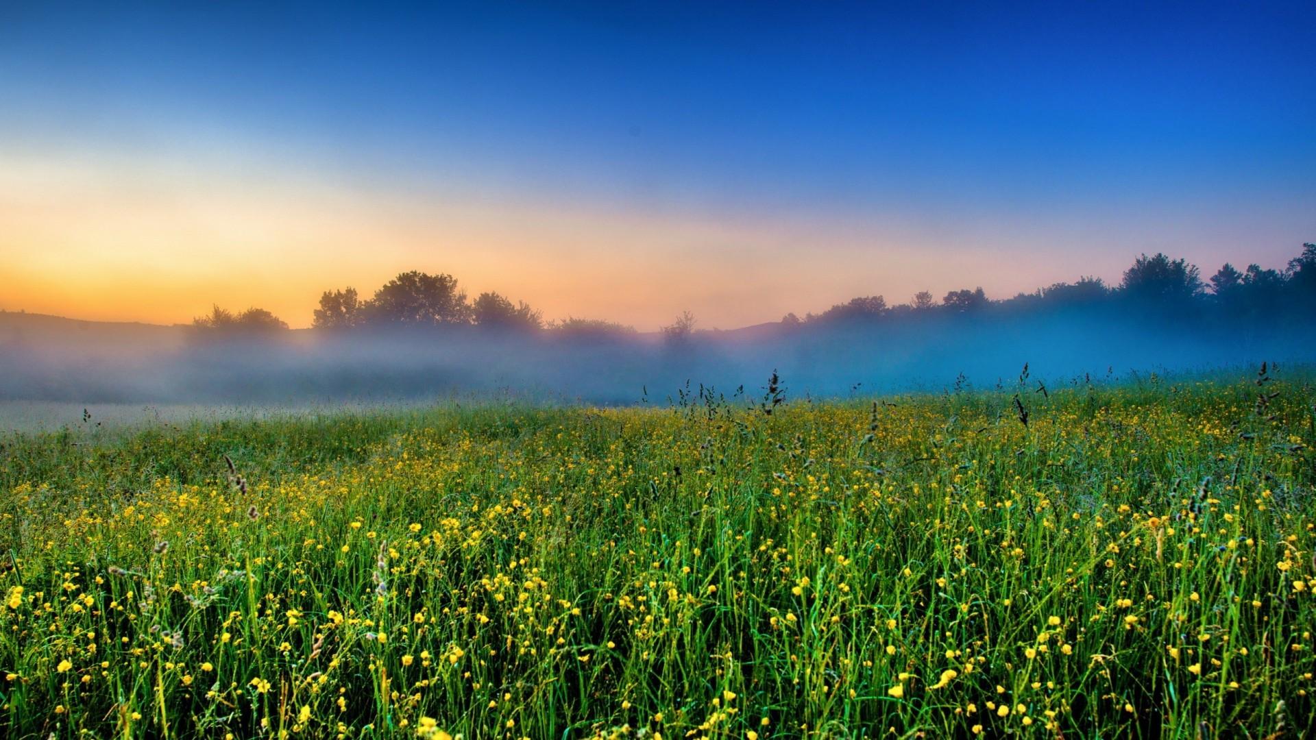 Foggy Field Wallpapers - Top Free Foggy Field Backgrounds - WallpaperAccess