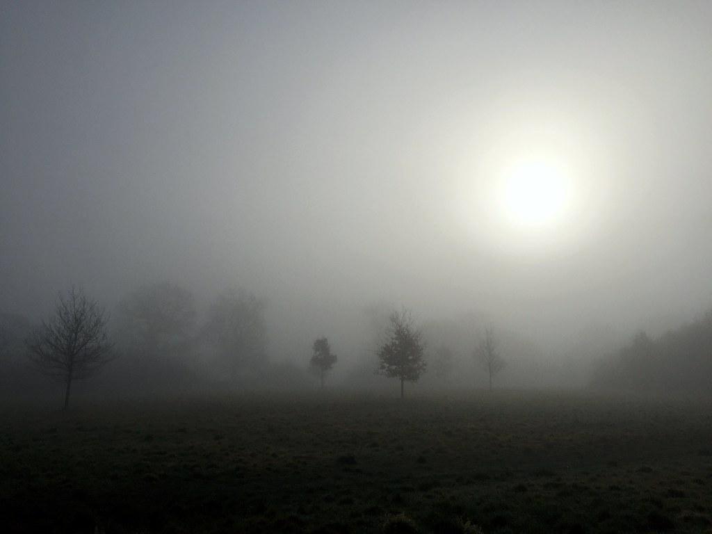 Foggy Field Wallpapers - Top Free Foggy Field Backgrounds - WallpaperAccess