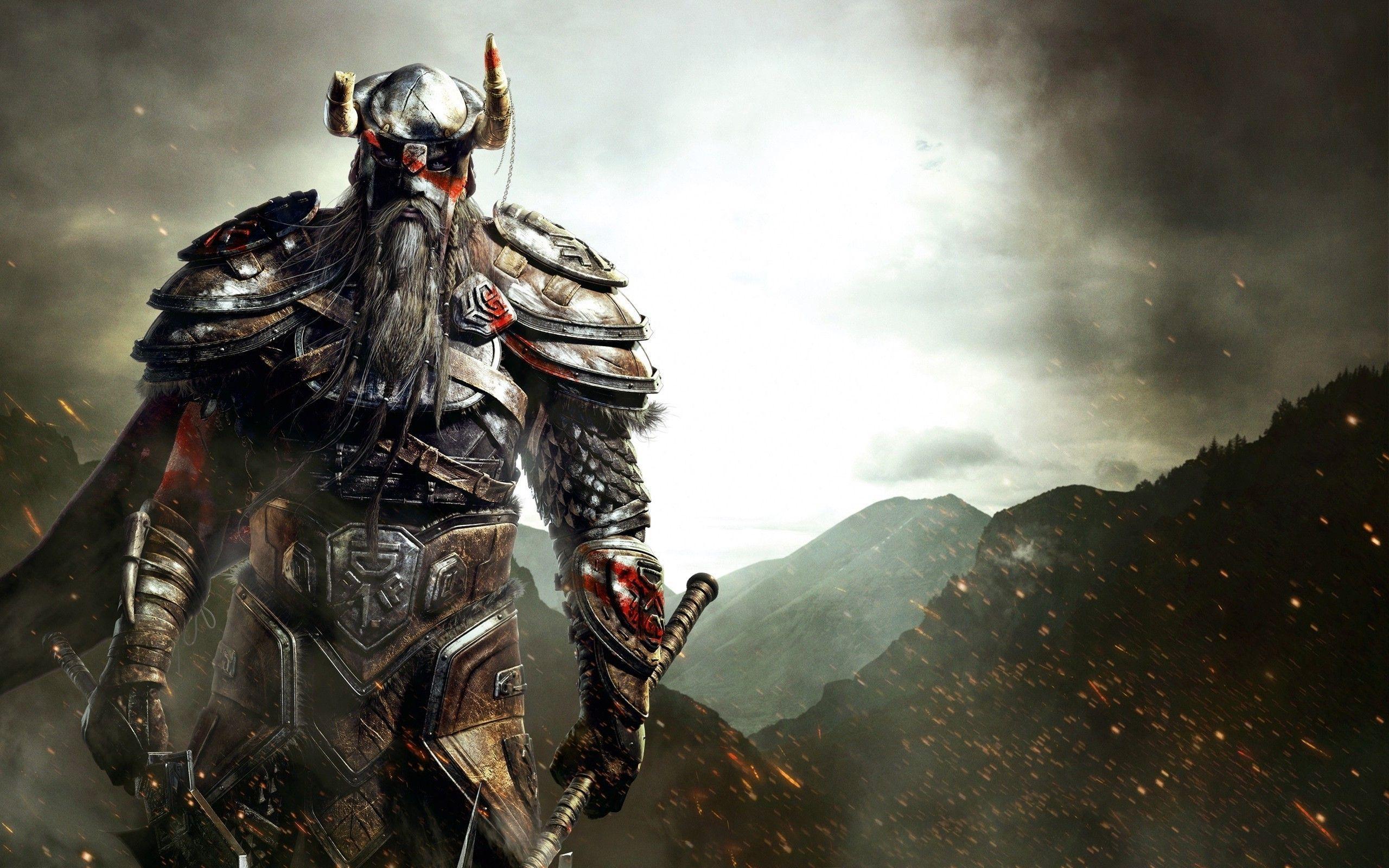 2560x1600 Viking Warrior Wallpaper HD