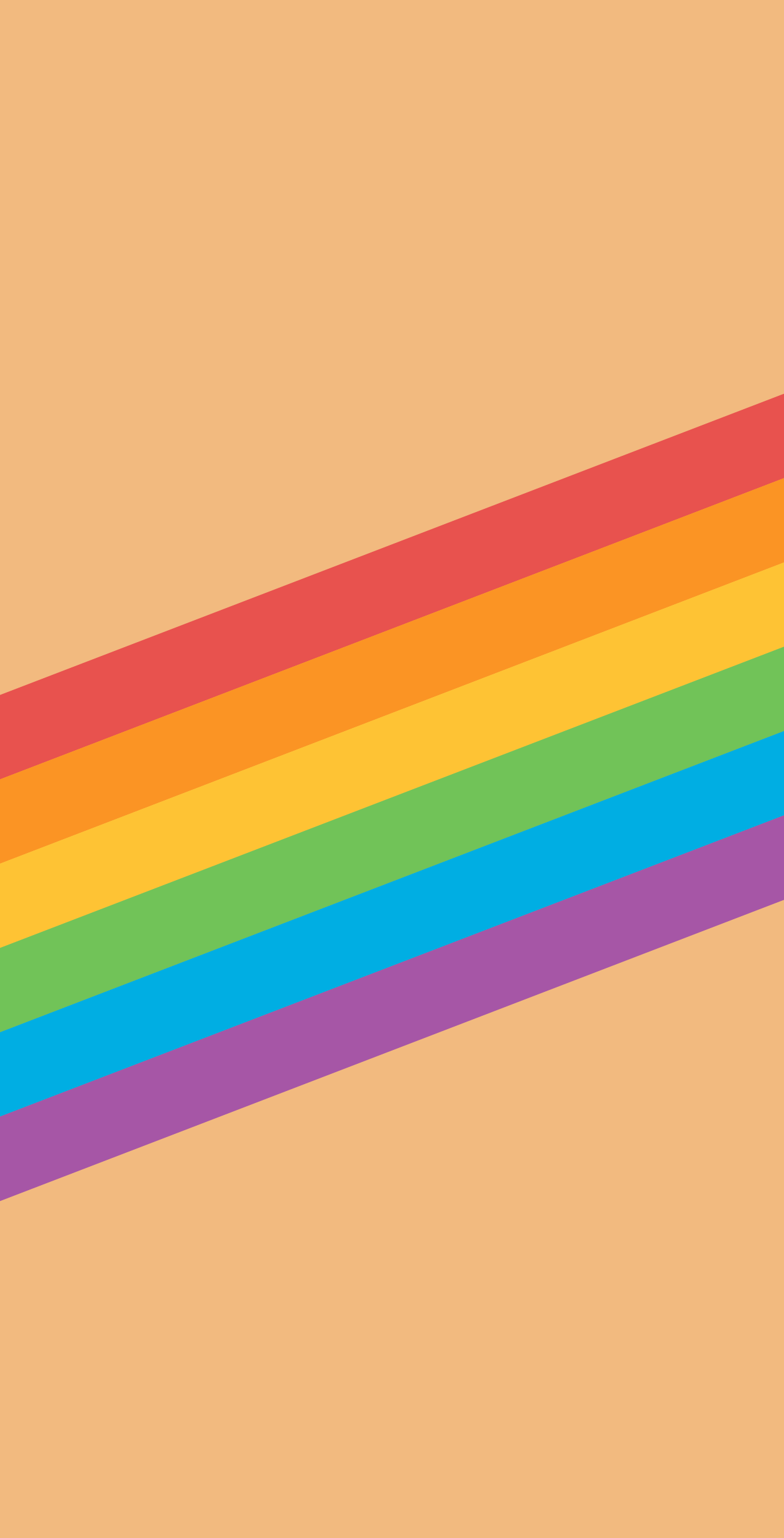 1243x2436 iPhone Pride Wallpaper