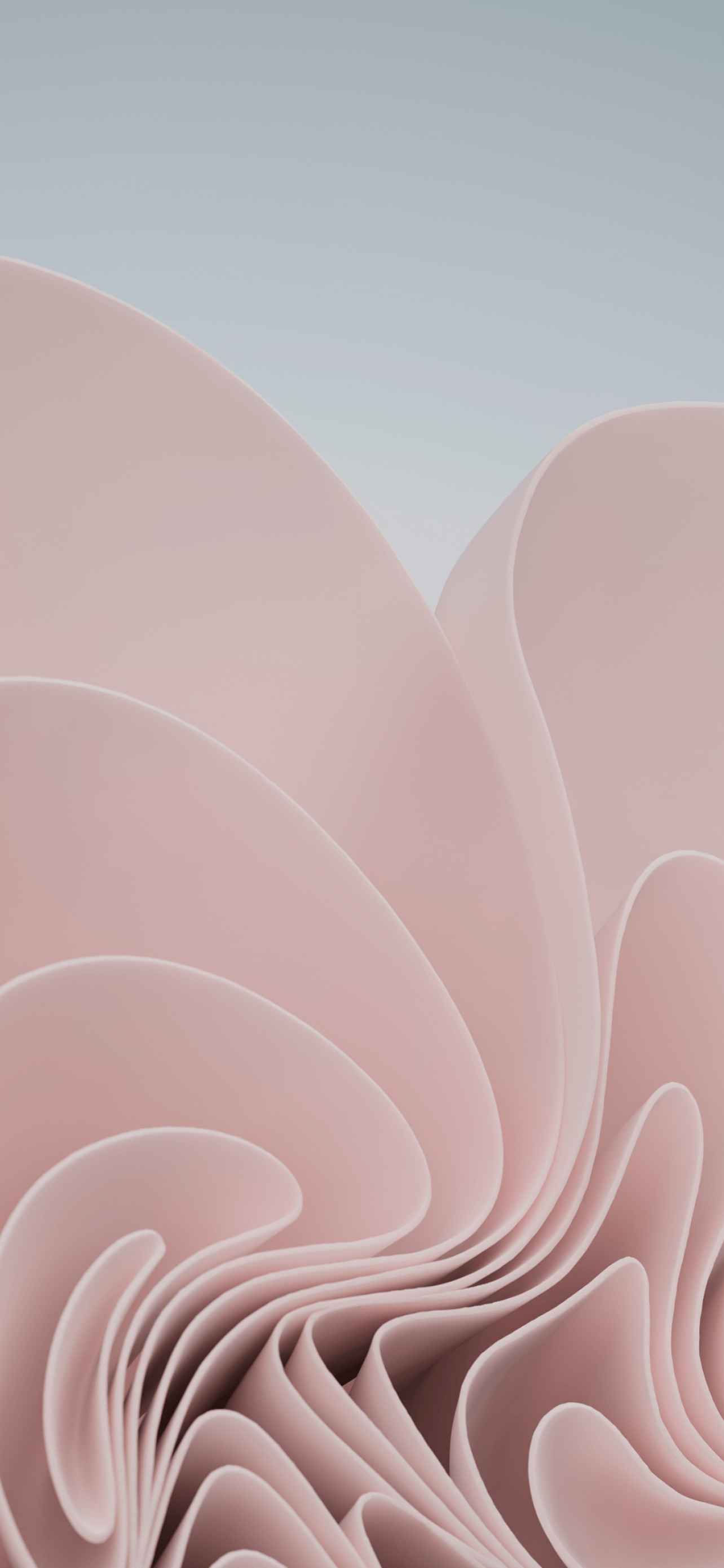 1284x2778 Windows 11 Wallpaper 4K, Stock, Official, Light, Abstract