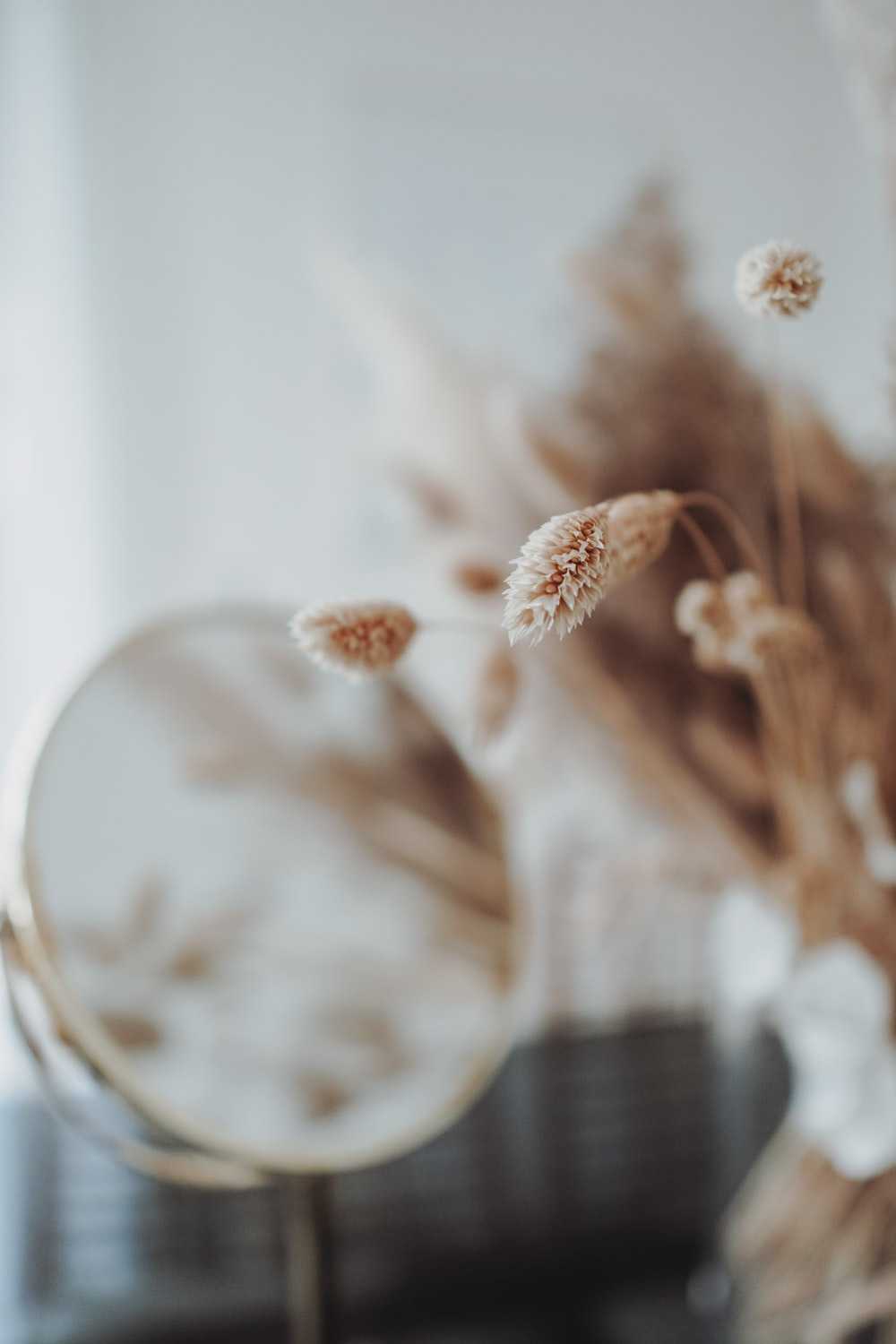 1000x1500 Aesthetic Boho Wallpaper