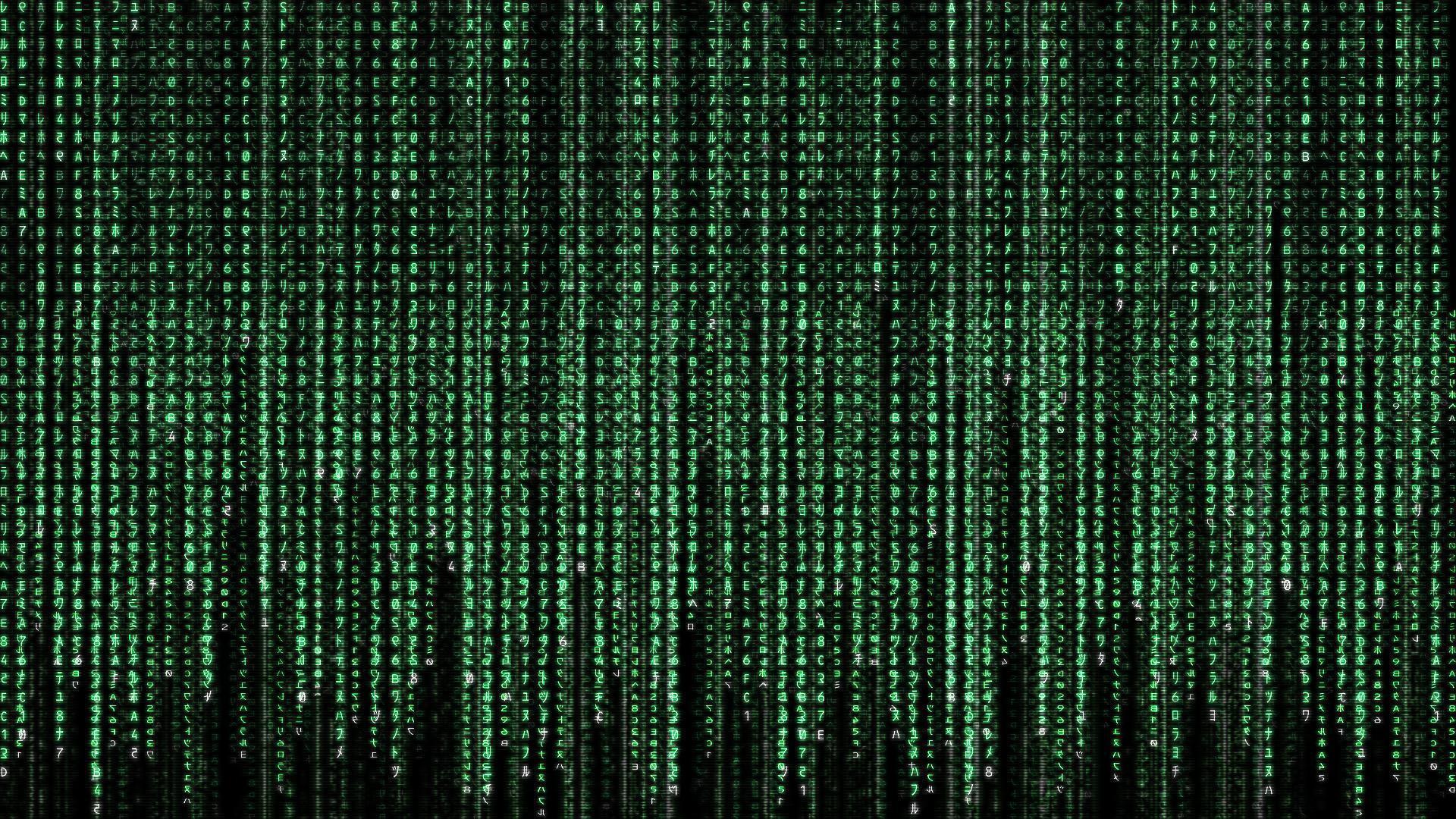 1920x1080 Matrix Movie Wallpaper
