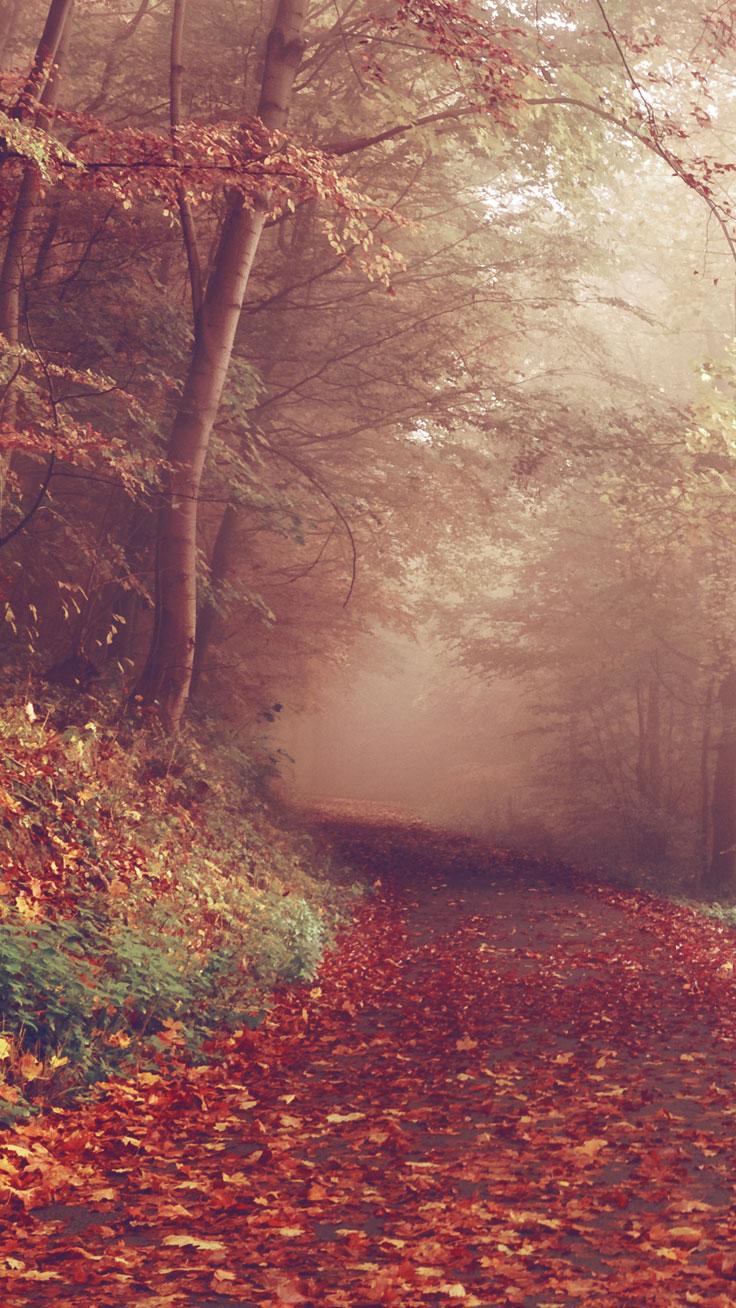736x1308 Free Autumn Inspired iPhone 7 Plus Wallpaper. Preppy