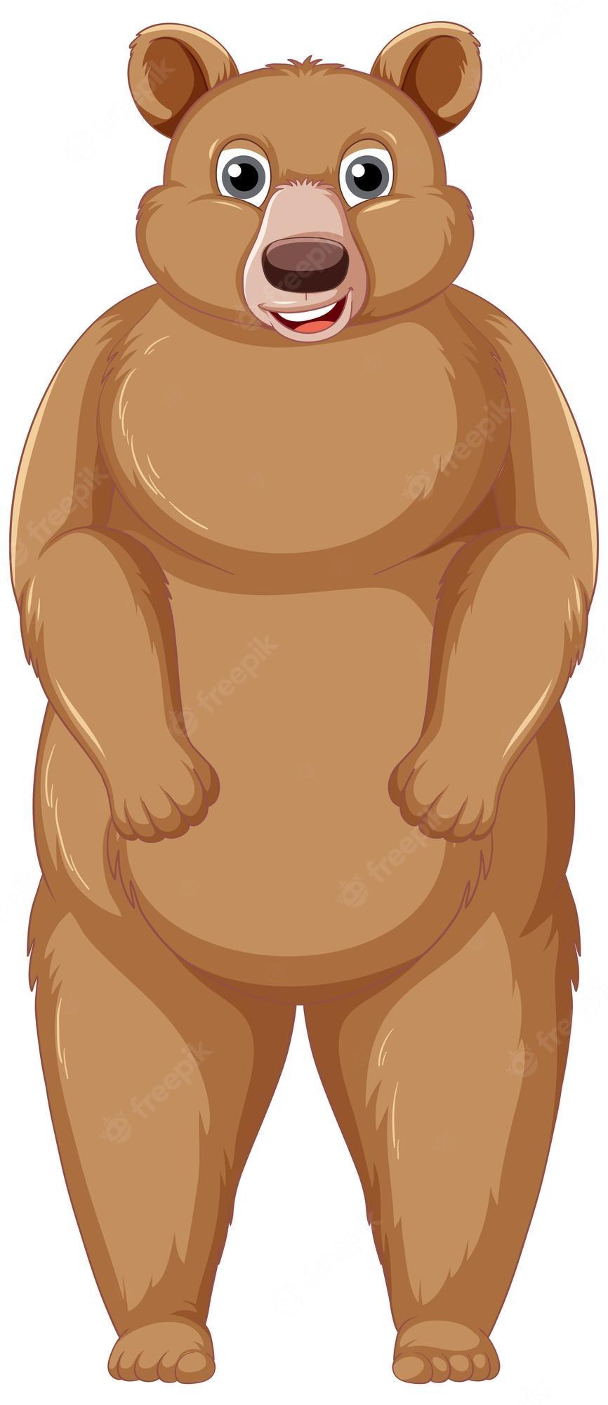 866x2000 Brown bear cartoon Image. Free Vectors, & PSD