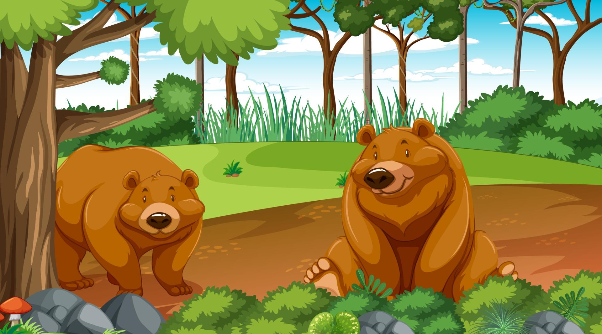1920x1067 Grizzly bear or brown bear in forest or rainforest scene with trees