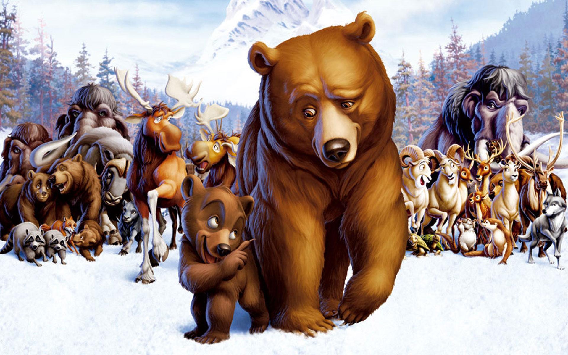 1920x1200 brother, Bear, Cartoon, Animals Wallpaper HD / Desktop and Mobile Background