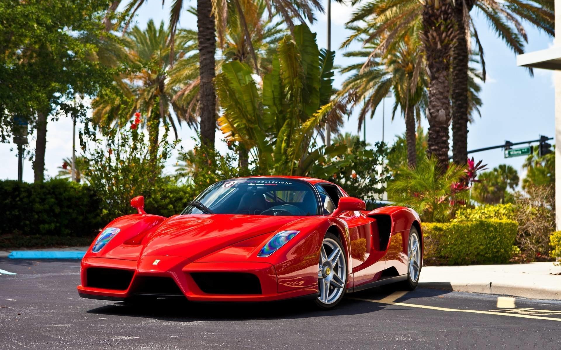 1920x1200 Ferrari Enzo Wallpaper