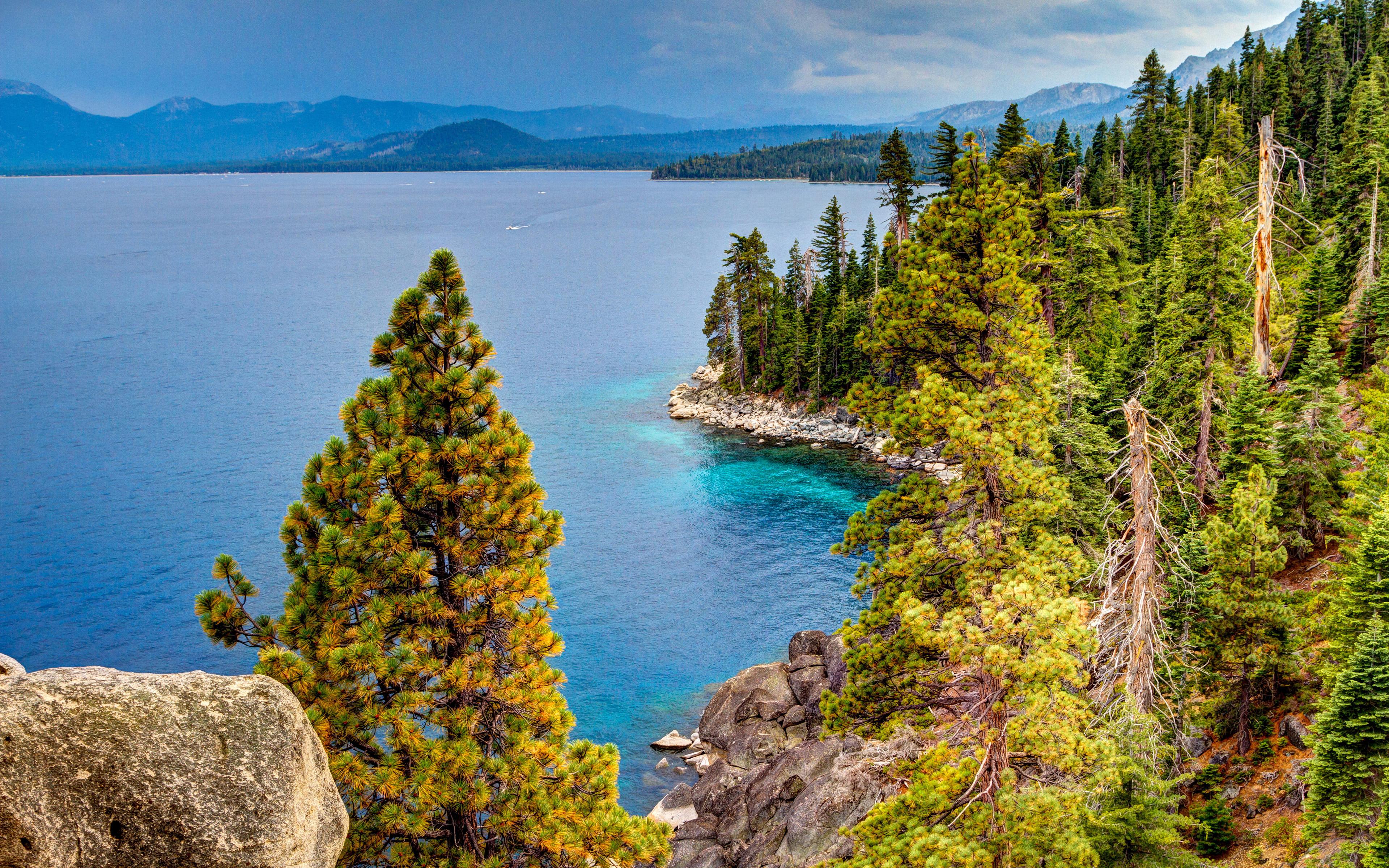 3840x2400 Download wallpaper Lake Tahoe, 4k, summer, beautiful nature, California, forest, USA, America for desktop with resolution 3840x2400. High Quality HD picture wallpaper