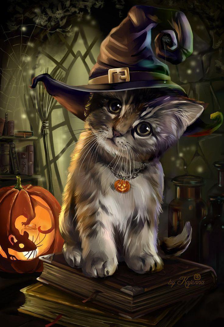 Halloween Cat Wallpapers - Top Free Halloween Cat Backgrounds ...