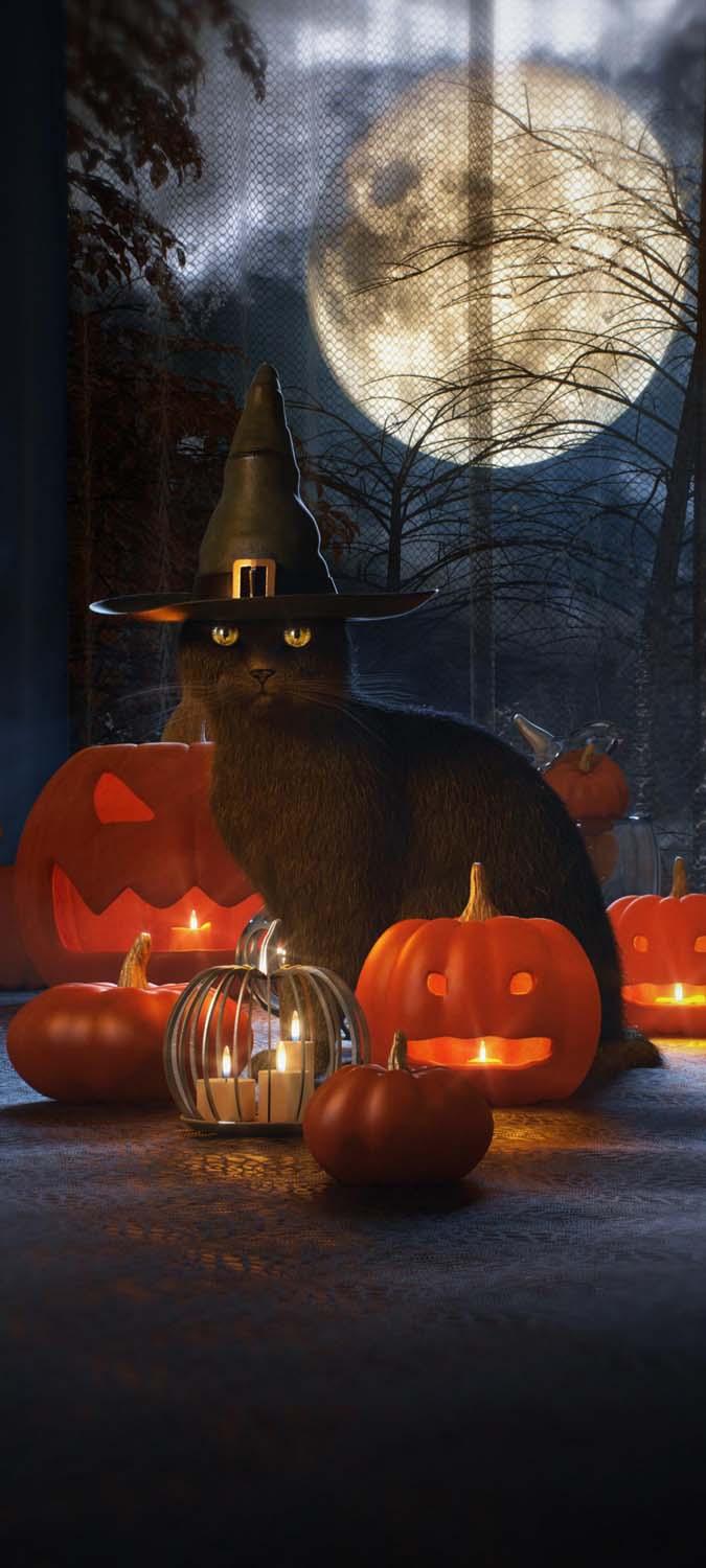675x1500 Halloween Cat IPhone Wallpaper HD Wallpaper : iPhone Wallpaper