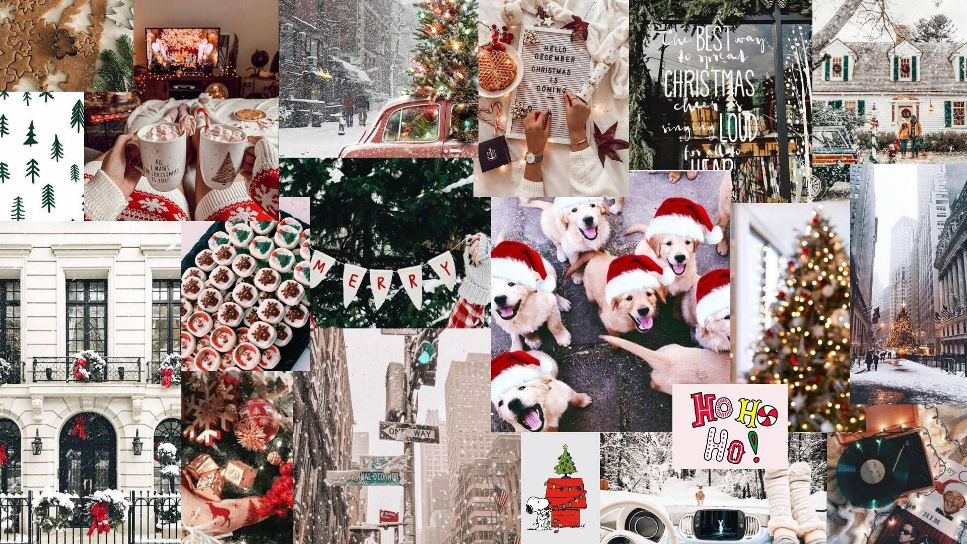1920x1080 Download Christmas Collage With Pets Wallpaper