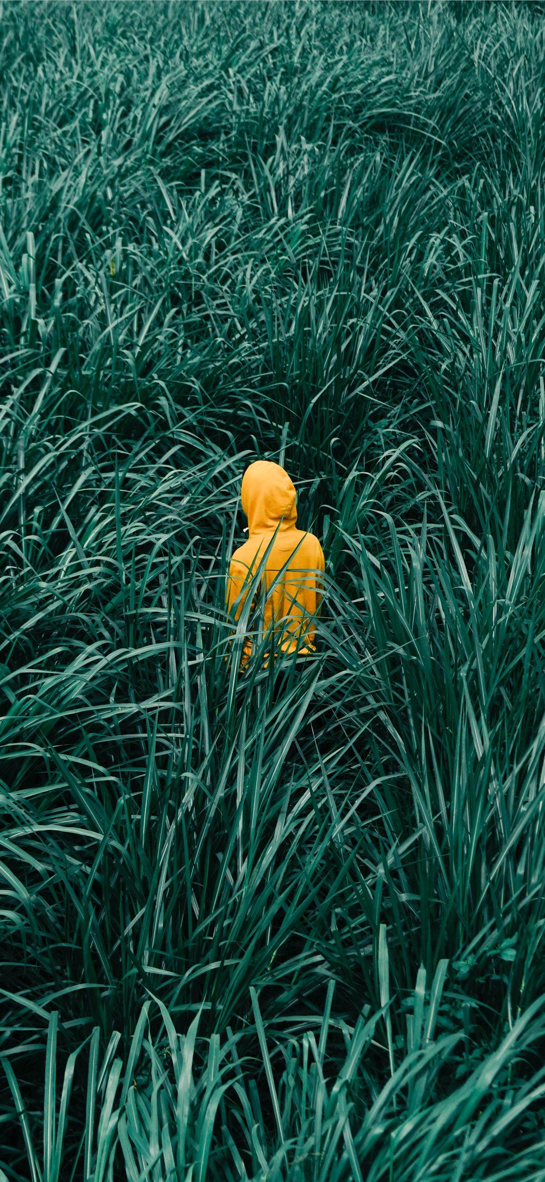 1125x2436 person wearing orange hooded jacket in in green gr. iPhone X Wallpaper Free Download