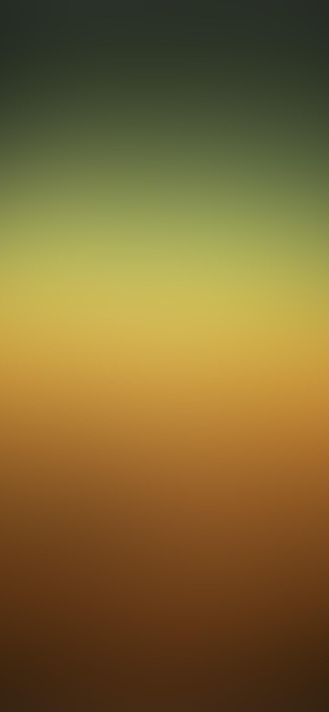 1125x2436 iPhone X wallpaper. orange green blur gradation
