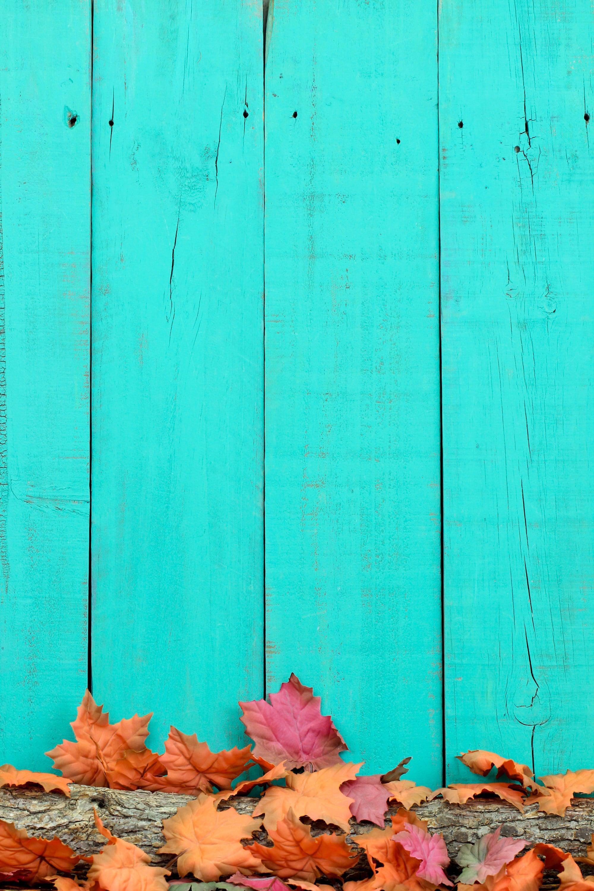 2000x3000 Fall Background: Blue Wood and Leaves iPhone Wallpaper Fall iPhone Wallpaper That'll Instantly Make You Feel Cozy. Tech Photo 12