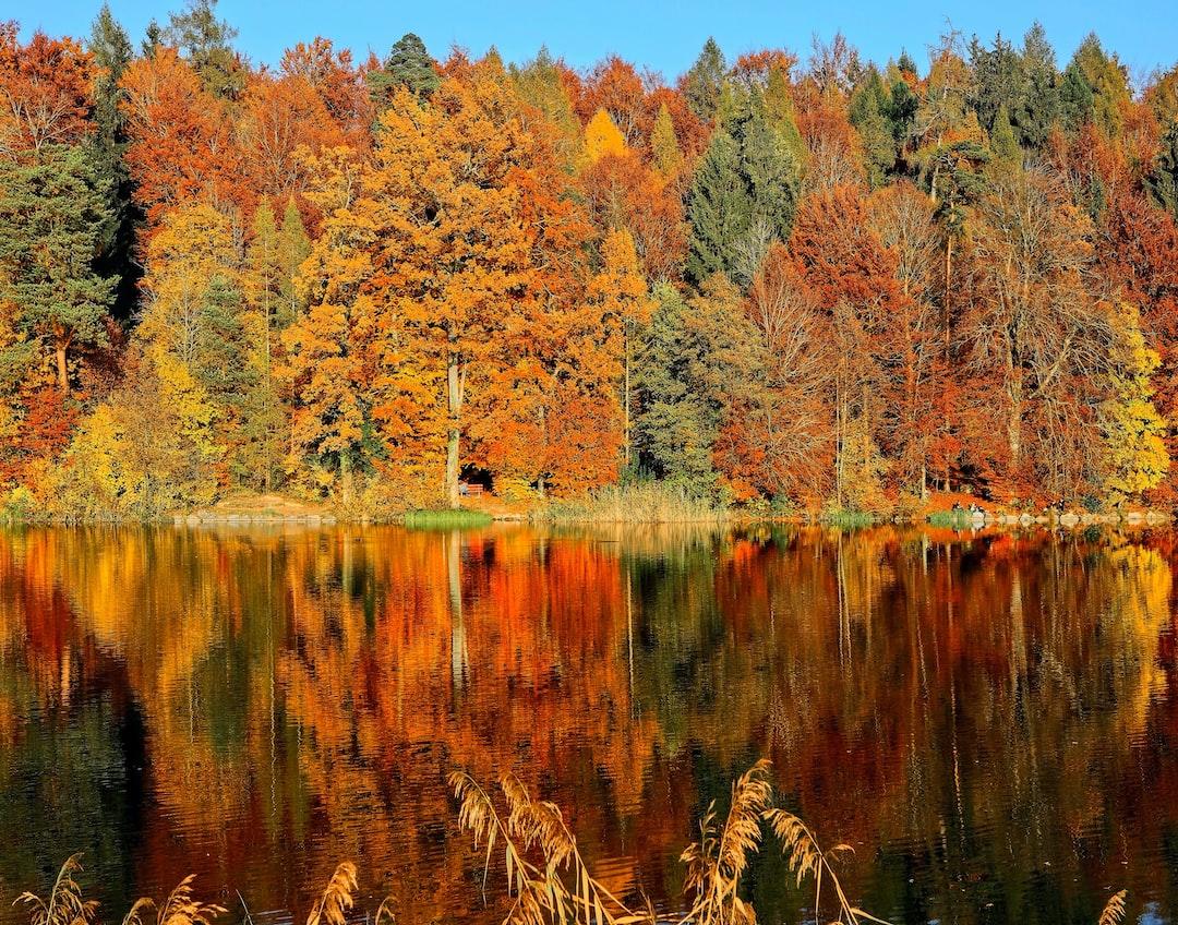 1080x848 Fall Wallpaper: Free HD Download [HQ]