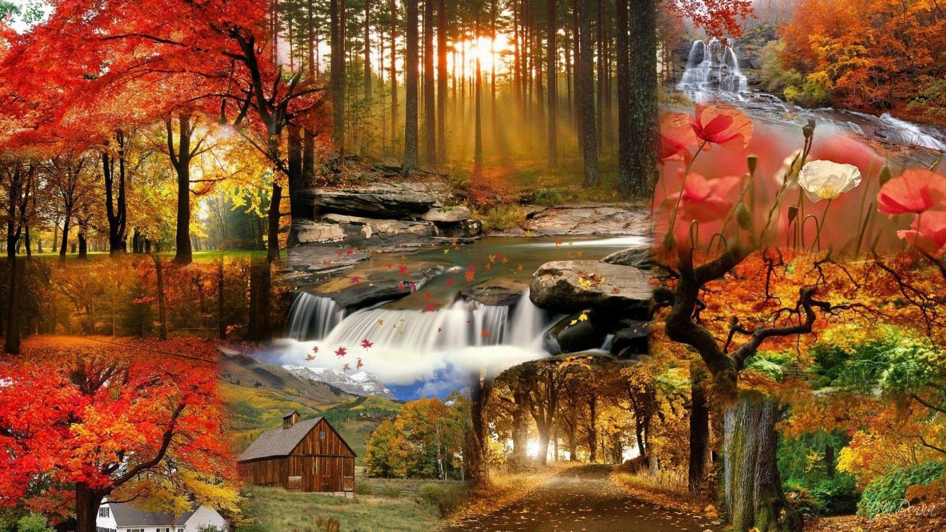 Amazing Fall HD Wallpapers - Top Free Amazing Fall HD Backgrounds - WallpaperAccess Amazing Fall HD Wallpapers - Top Free Amazing Fall HD Backgrounds - WallpaperAccess