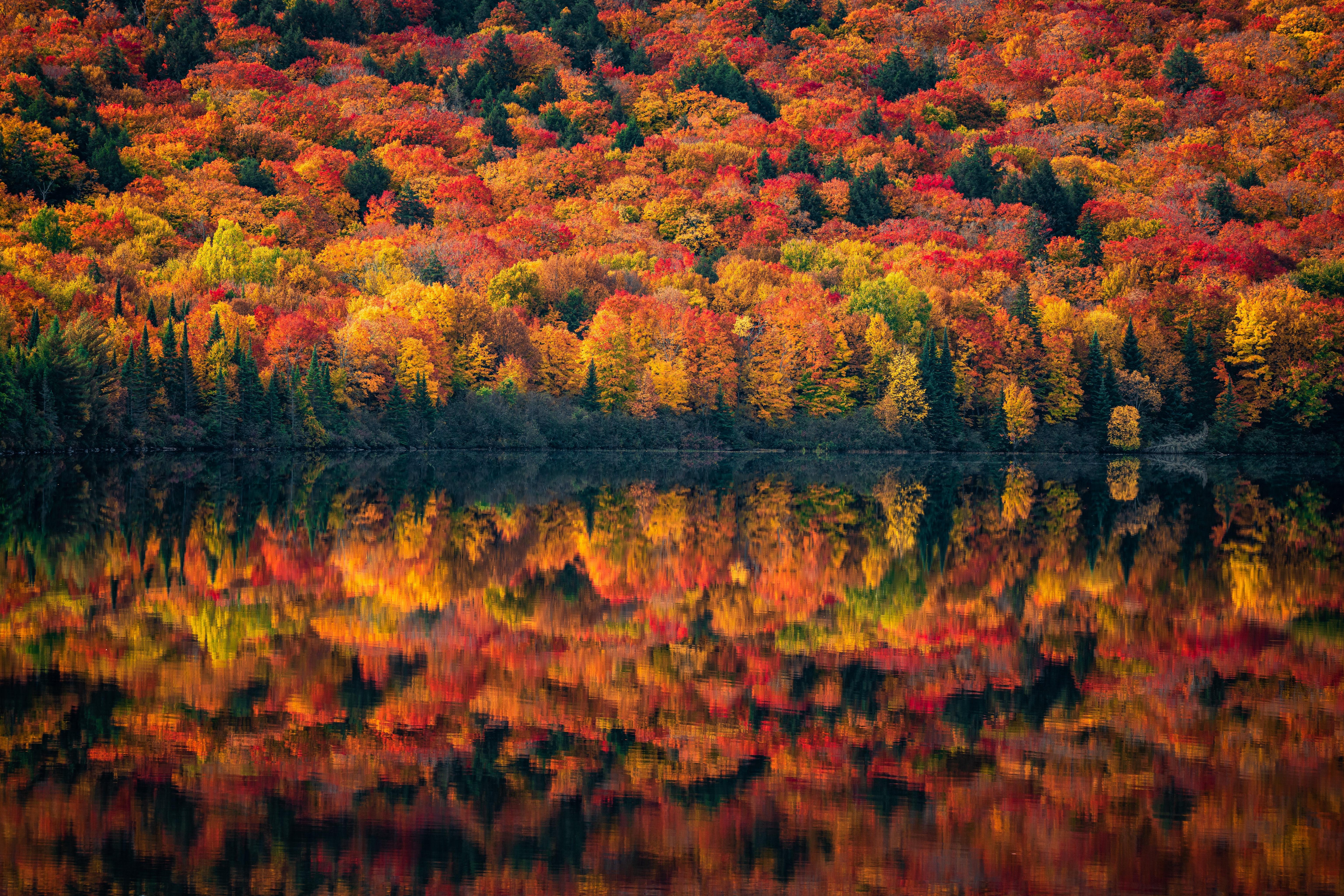 6144x4096 4K Fall Wallpaper and Background Image