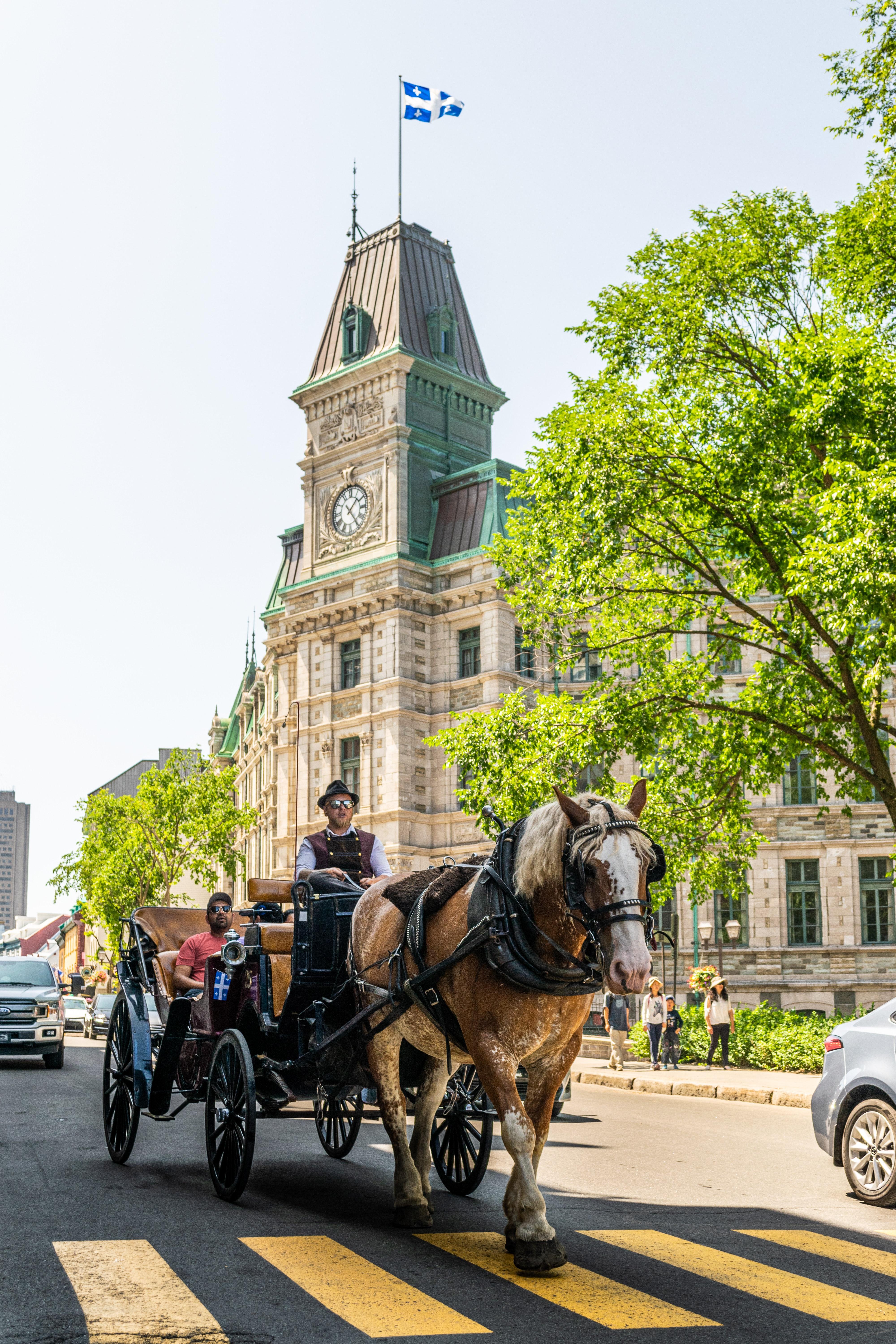 4000x6000 Quebec City Photo, Download Free Quebec City & HD Image