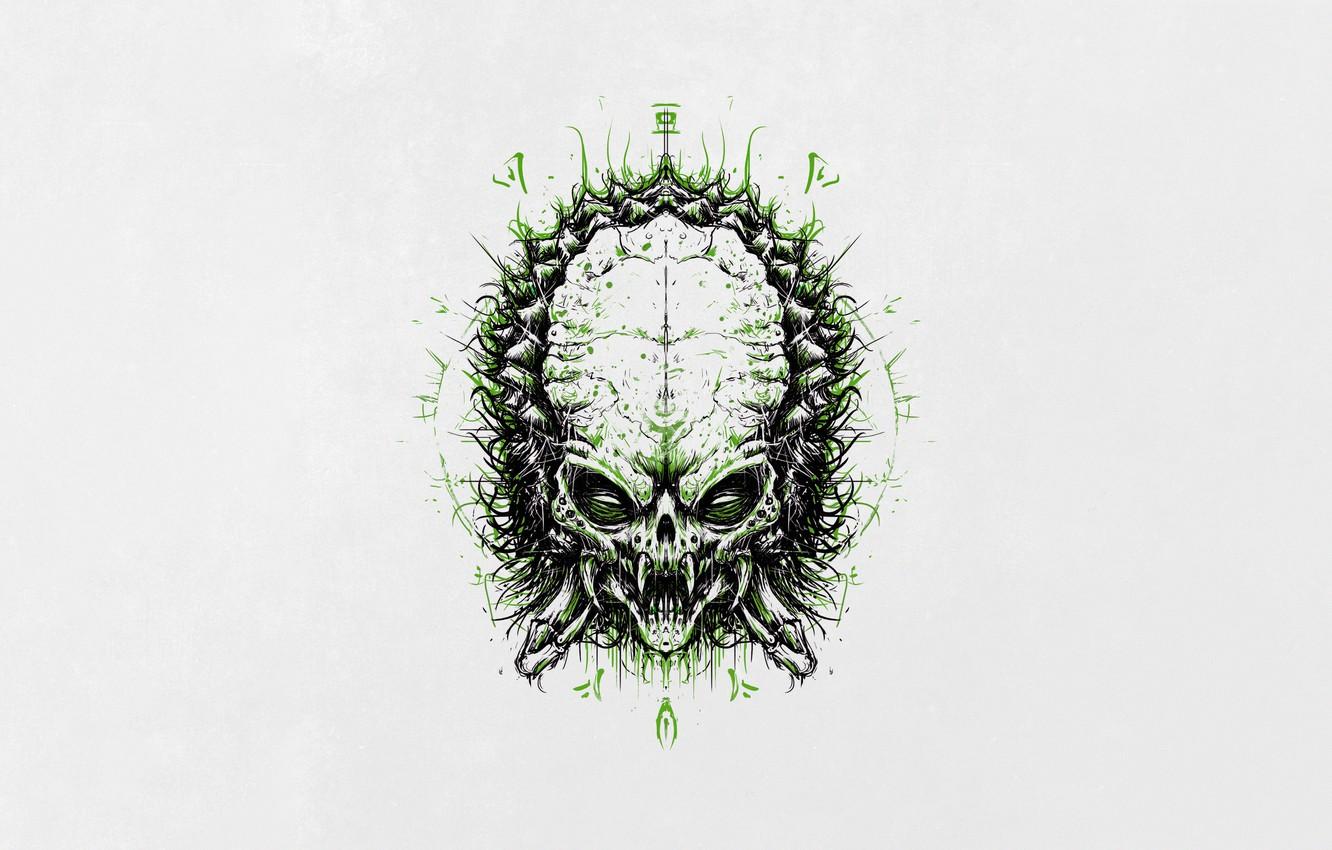 1332x850 Wallpaper Minimalism, Style, Background, Face, Predator, Art, Predator, Style, Background, Helix, Minimalism, by Bogdan Timchenko, Bogdan Timchenko, Bogdan Timchenko image for desktop, section минимализм