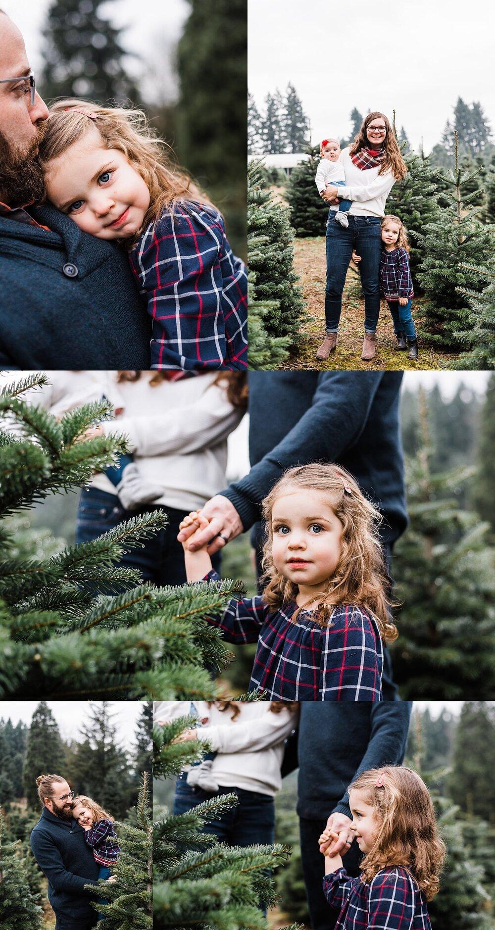 1000x1879 Portland Oregon Christmas Tree Farm Photo