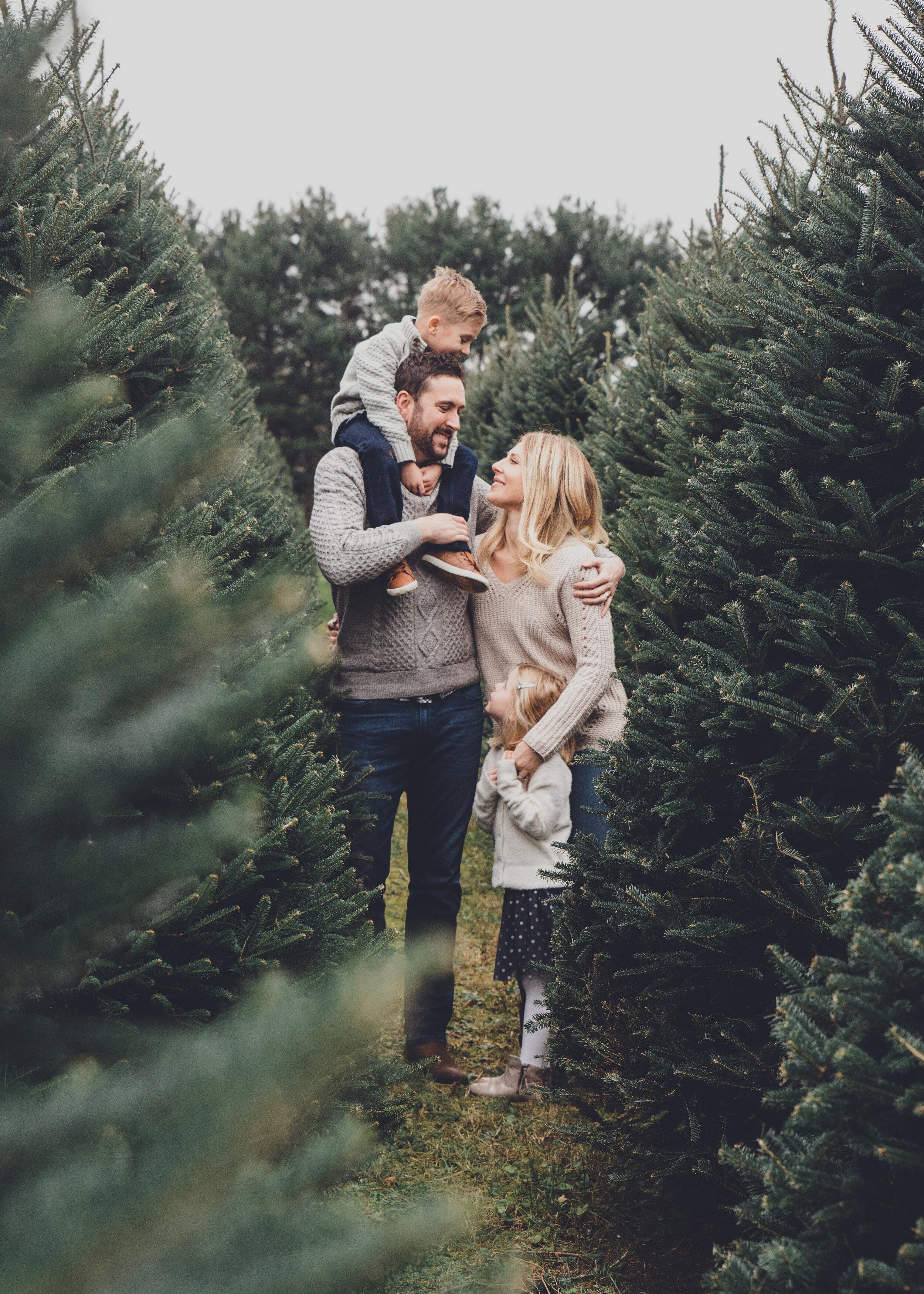 2500x3500 Christmas Tree Farm Family Photo to wear, Ohio