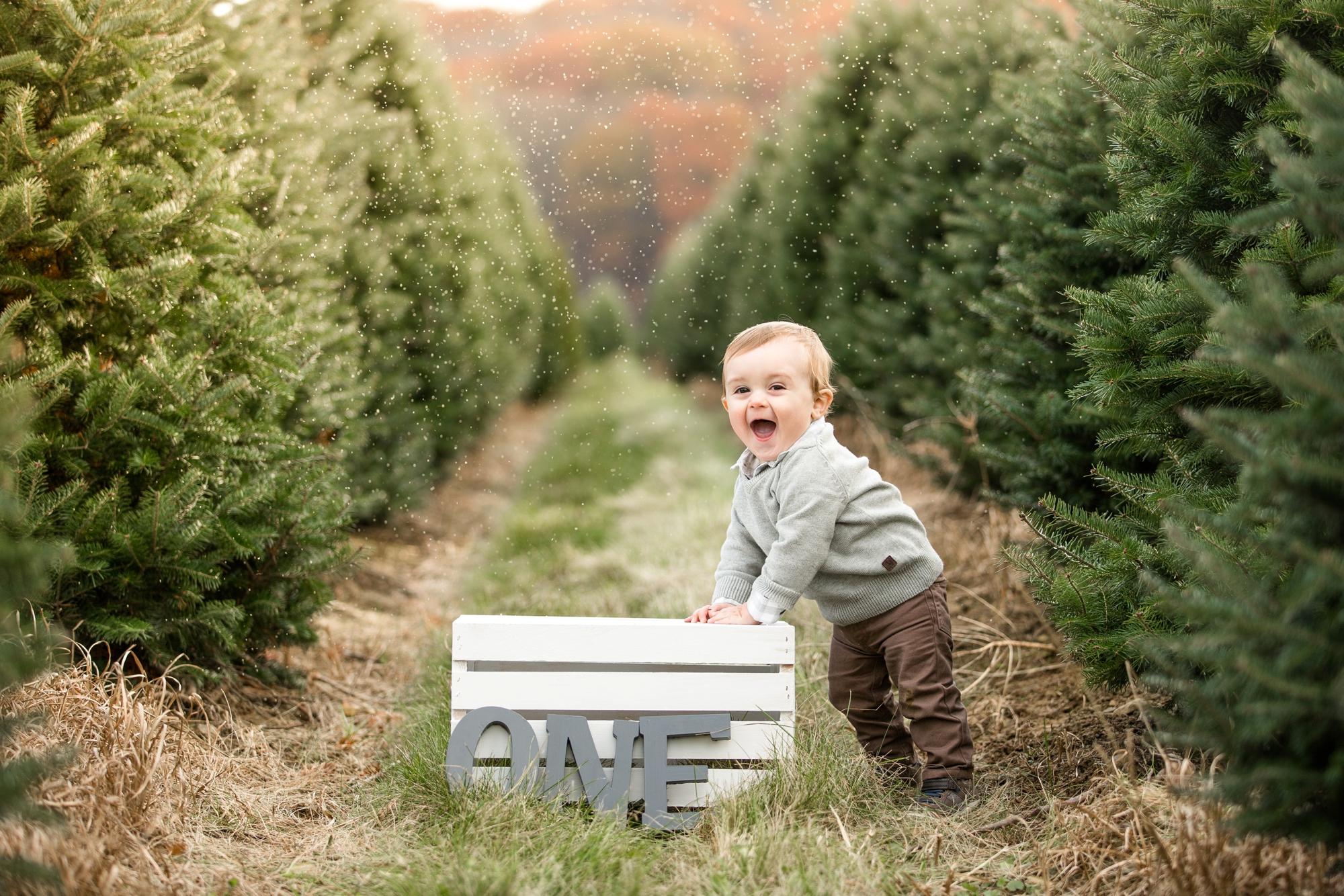 Christmas Tree Farm Wallpapers - Top Free Christmas Tree Farm