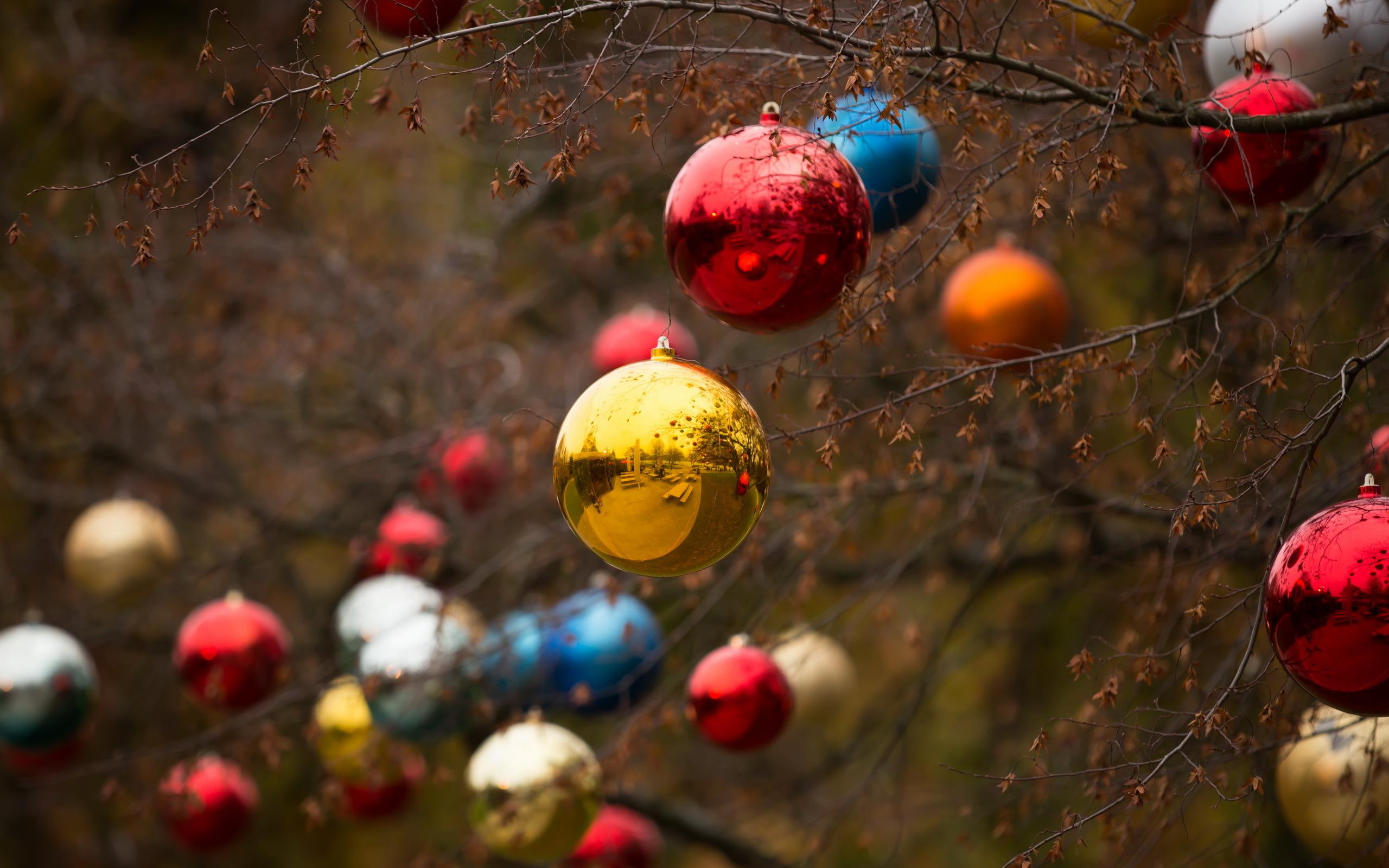 2560x1600 christmas, Is, Coming, Toys, Holiday, Reflection Wallpaper HD / Desktop and Mobile Background